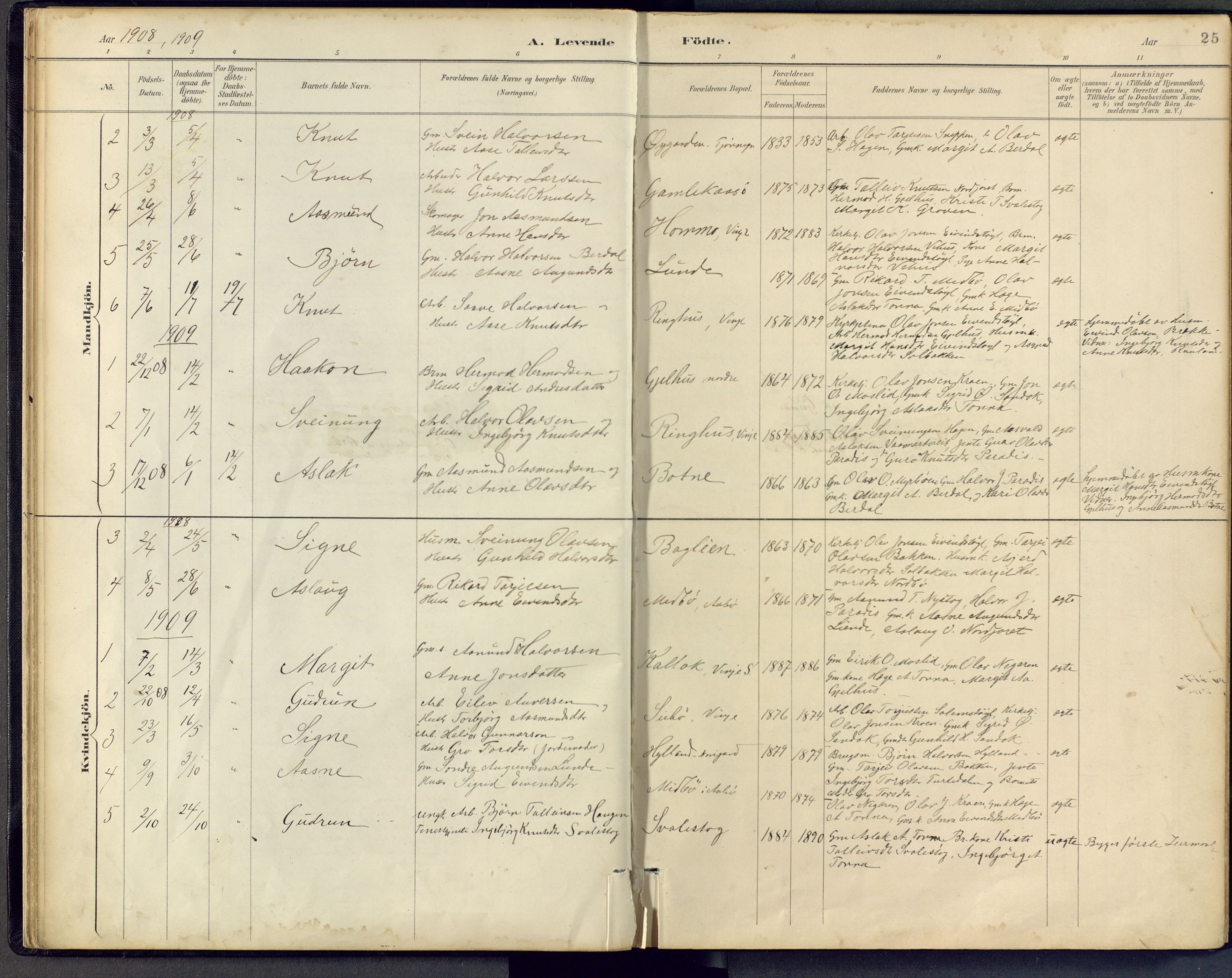 Vinje kirkebøker, SAKO/A-312/F/Fb/L0002: Parish register (official) no. II 2, 1887-1925, p. 25