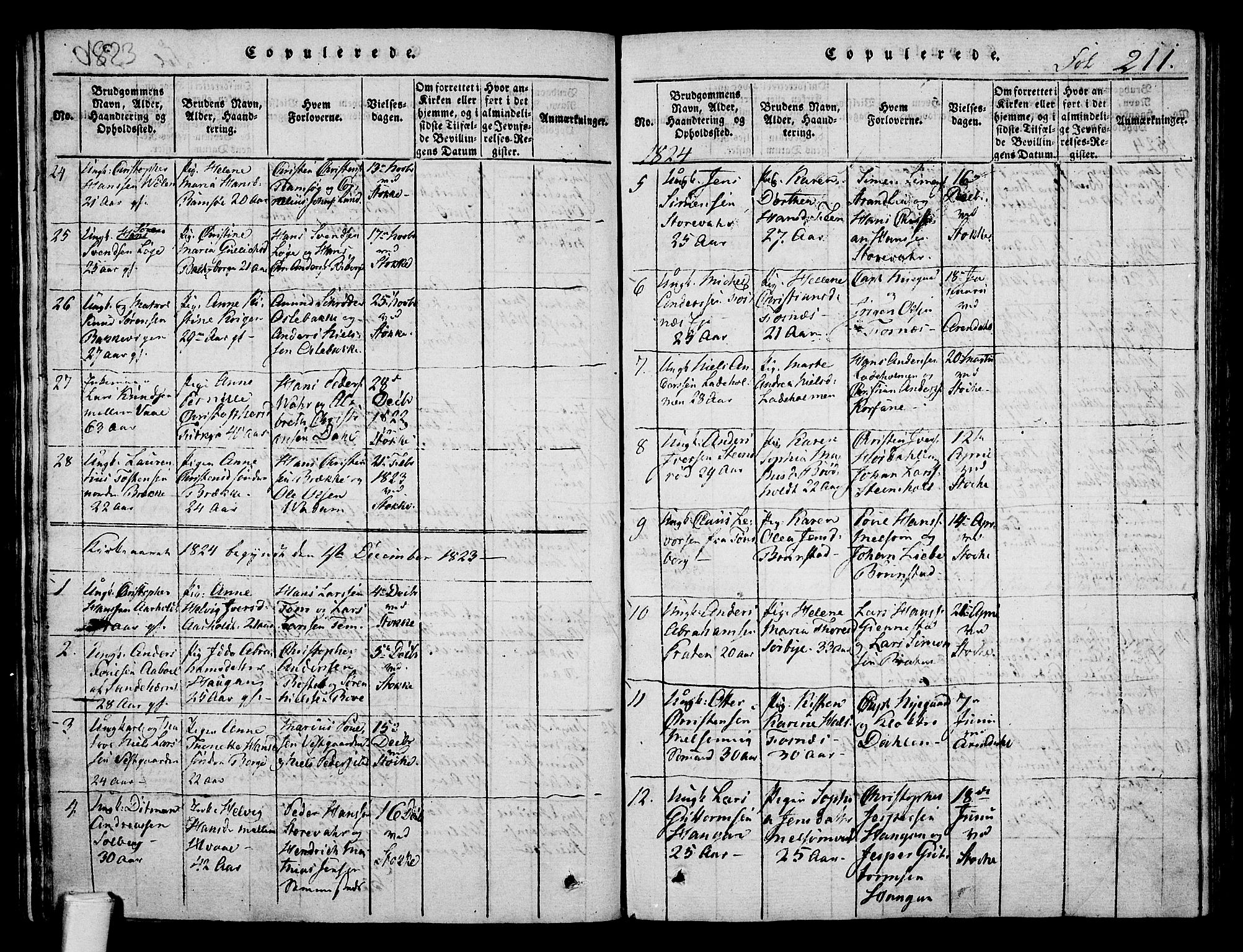 Stokke kirkebøker, SAKO/A-320/F/Fa/L0005: Parish register (official) no. I 5, 1815-1826, p. 211