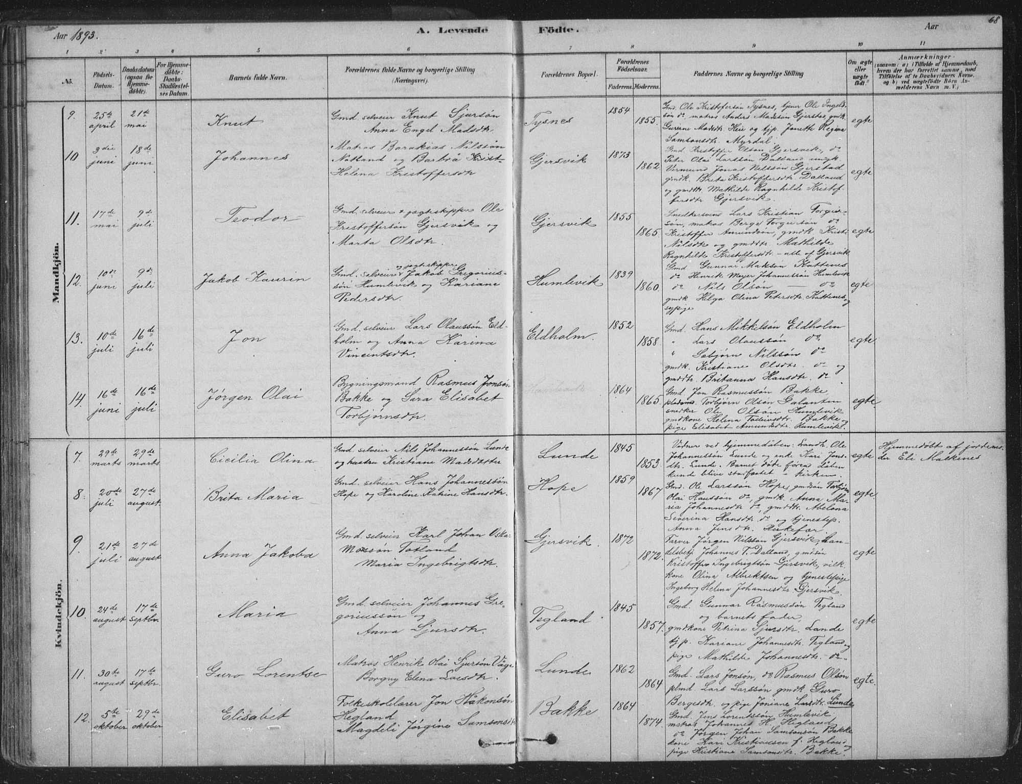 Tysnes sokneprestembete, AV/SAB-A-78601/H/Hab: Parish register (copy) no. B 2, 1878-1918, p. 68