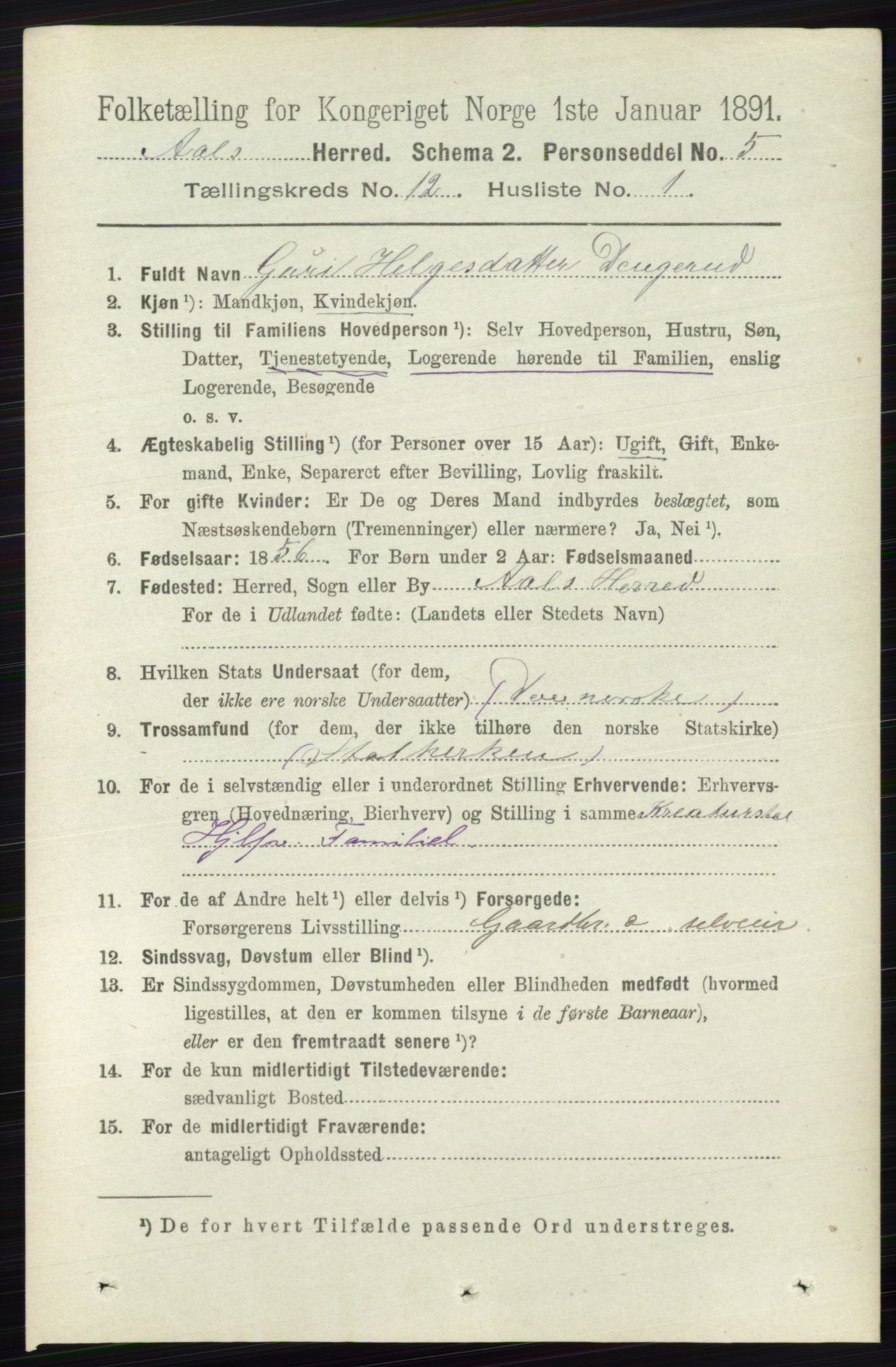 RA, 1891 census for 0619 Ål, 1891, p. 3011