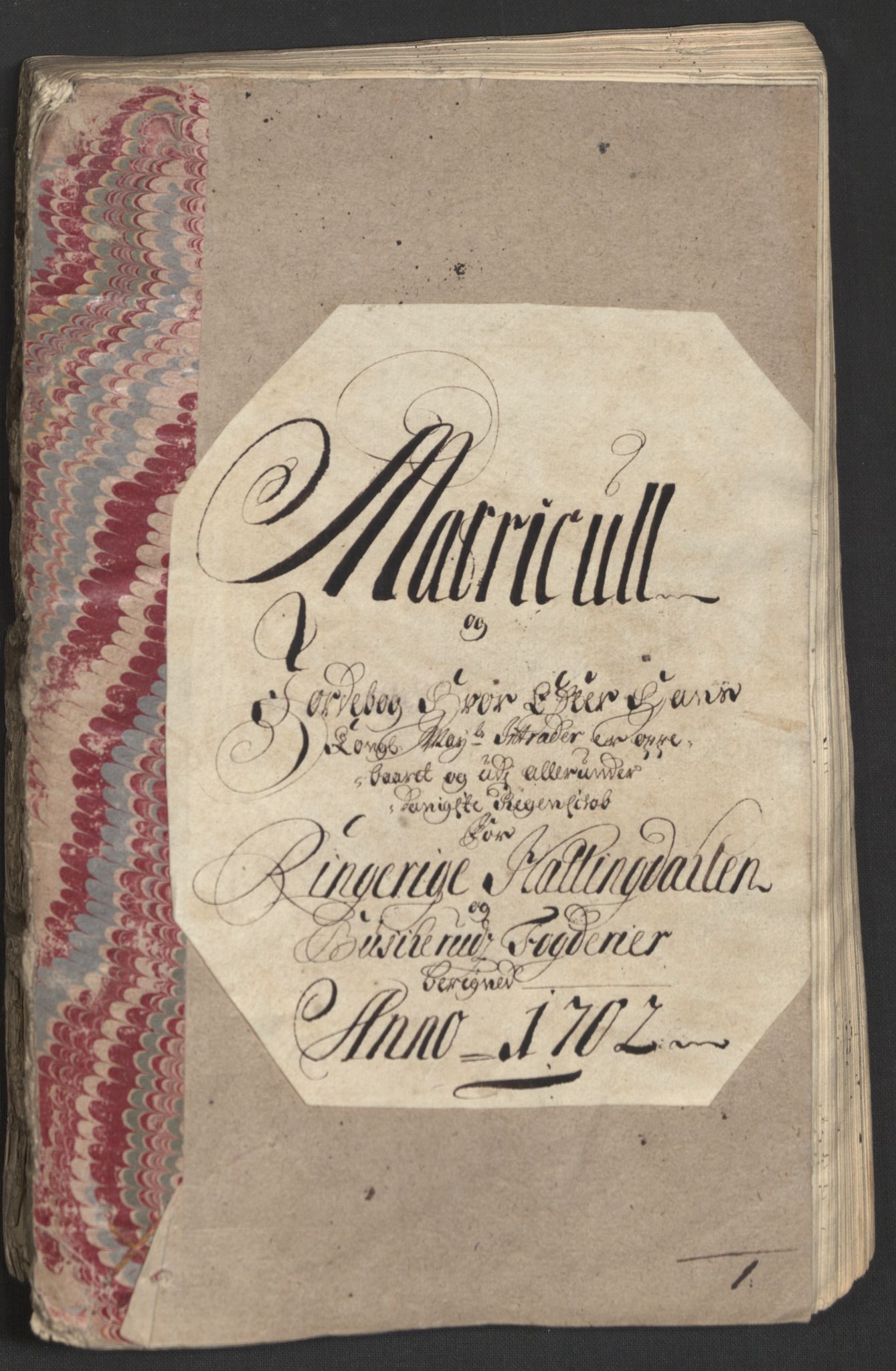 Rentekammeret inntil 1814, Reviderte regnskaper, Fogderegnskap, AV/RA-EA-4092/R22/L1459: Fogderegnskap Ringerike, Hallingdal og Buskerud, 1702, p. 32