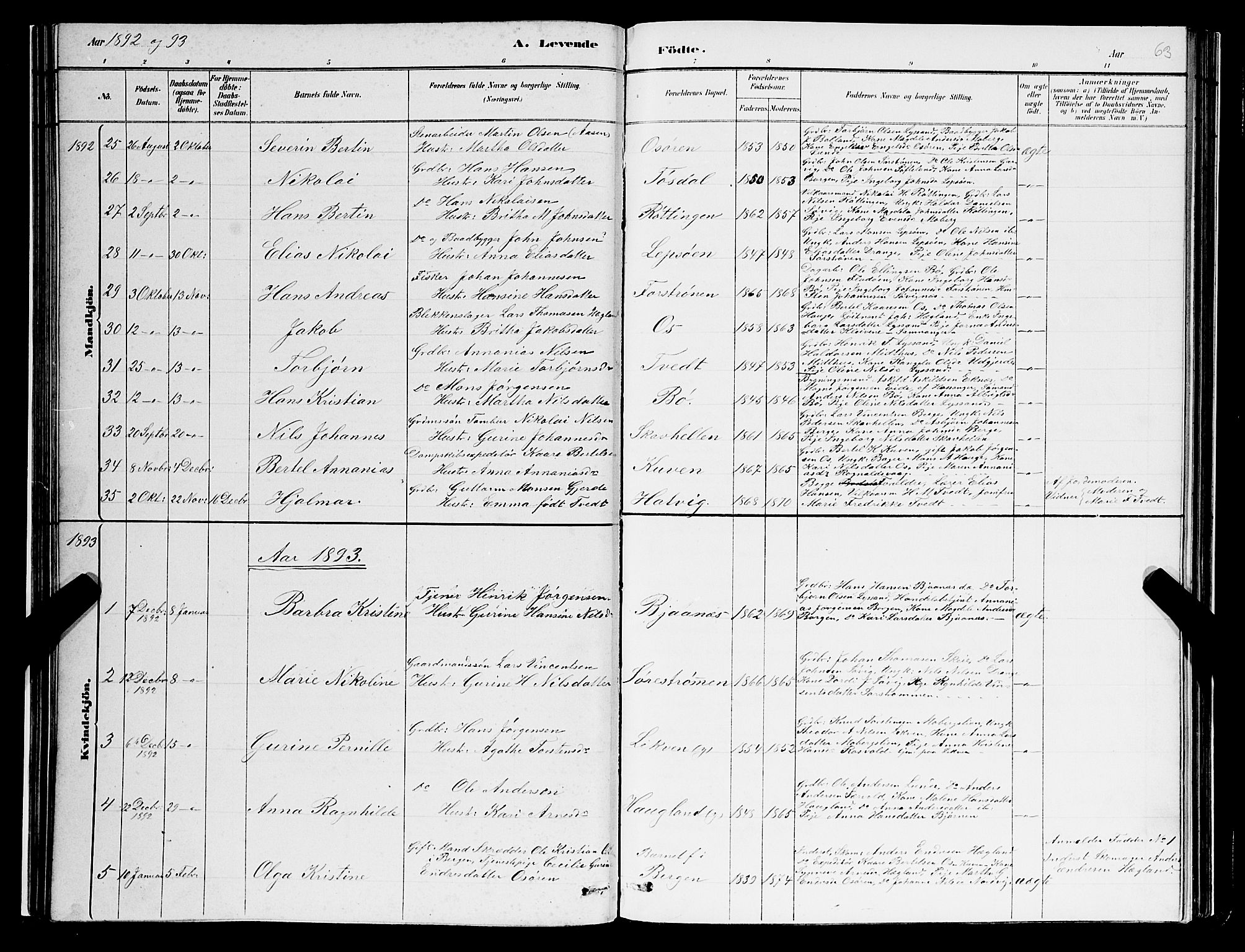 Os sokneprestembete, SAB/A-99929: Parish register (copy) no. A 2, 1880-1896, p. 63