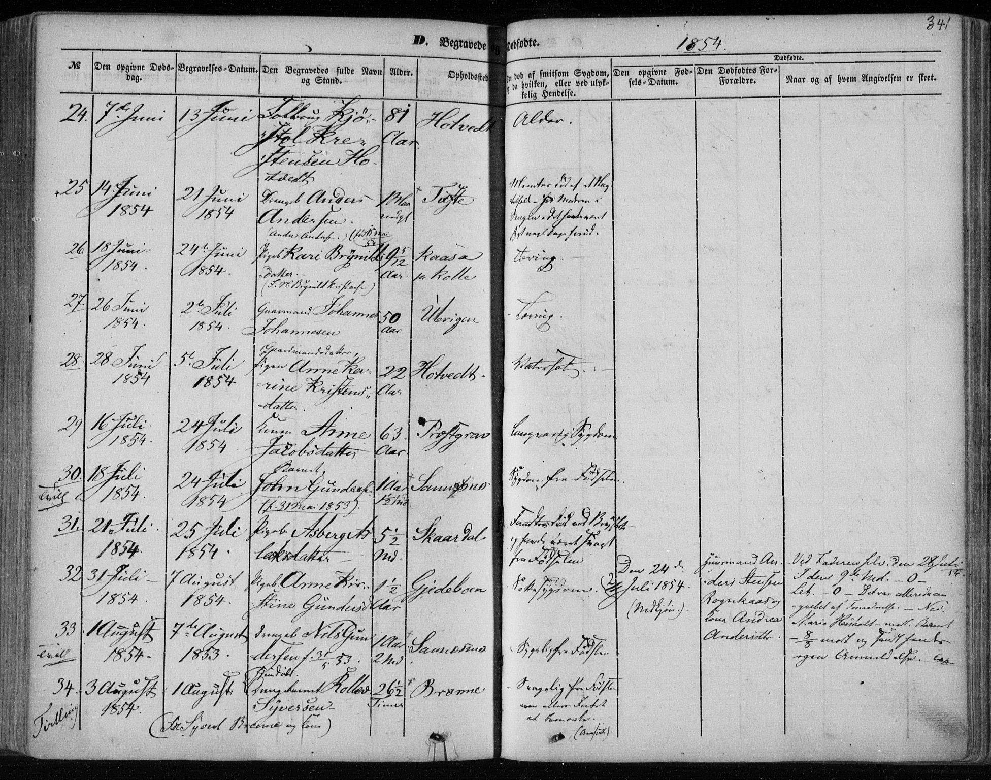 Holla kirkebøker, AV/SAKO-A-272/F/Fa/L0005: Parish register (official) no. 5, 1849-1860, p. 341