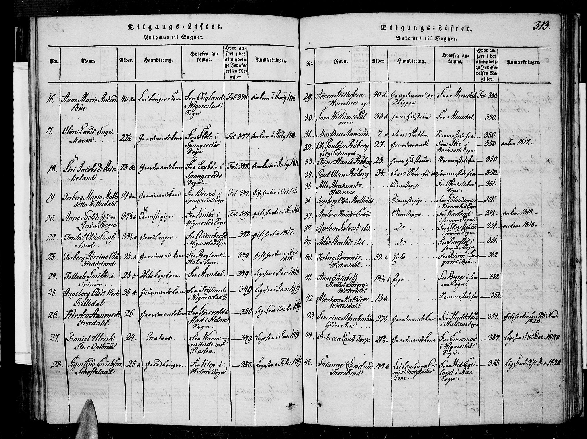 Sør-Audnedal sokneprestkontor, AV/SAK-1111-0039/F/Fa/Fab/L0005: Parish register (official) no. A 5, 1816-1830, p. 313