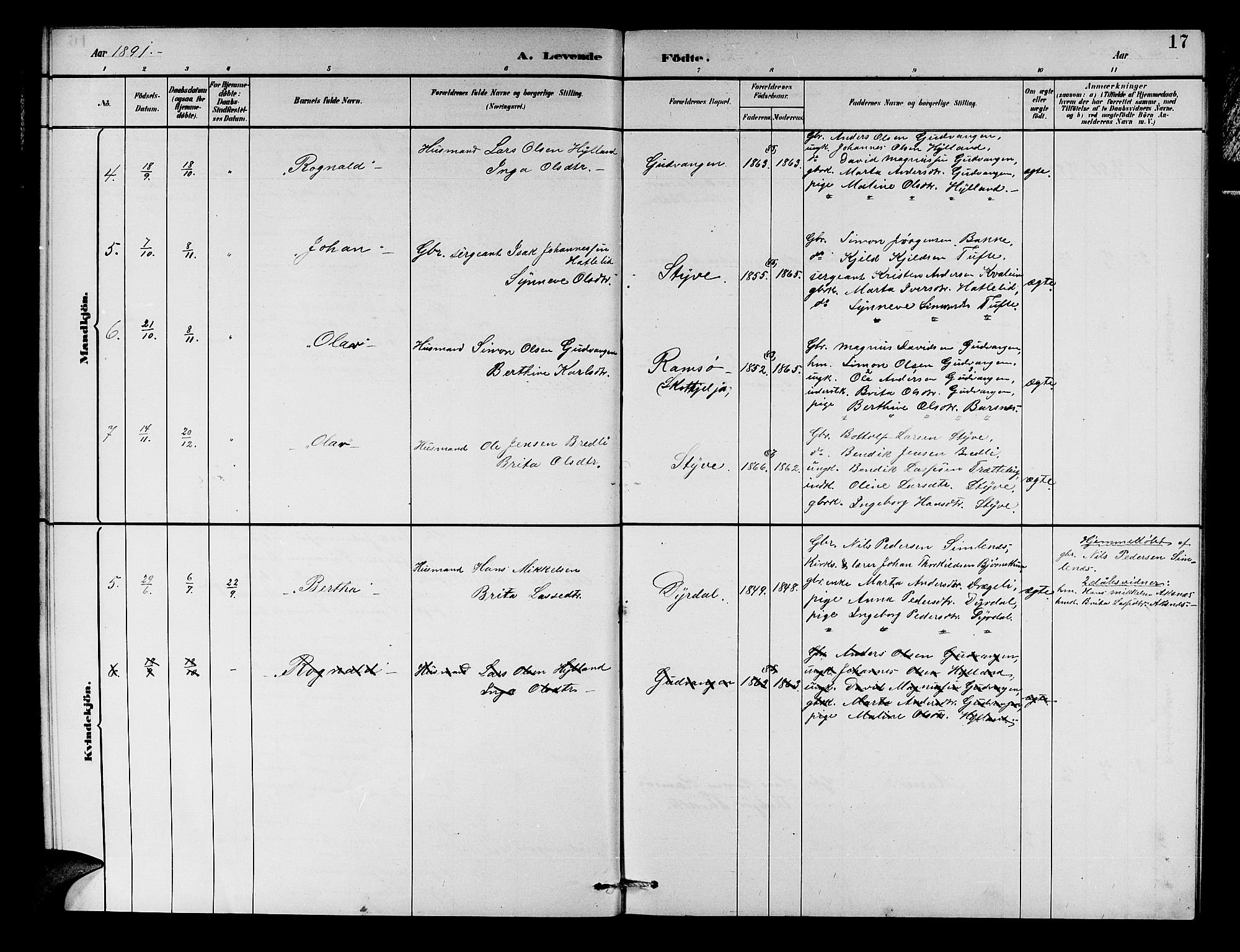 Aurland sokneprestembete, SAB/A-99937/H/Hb/Hbc/L0002: Parish register (copy) no. C 2, 1883-1900, p. 17