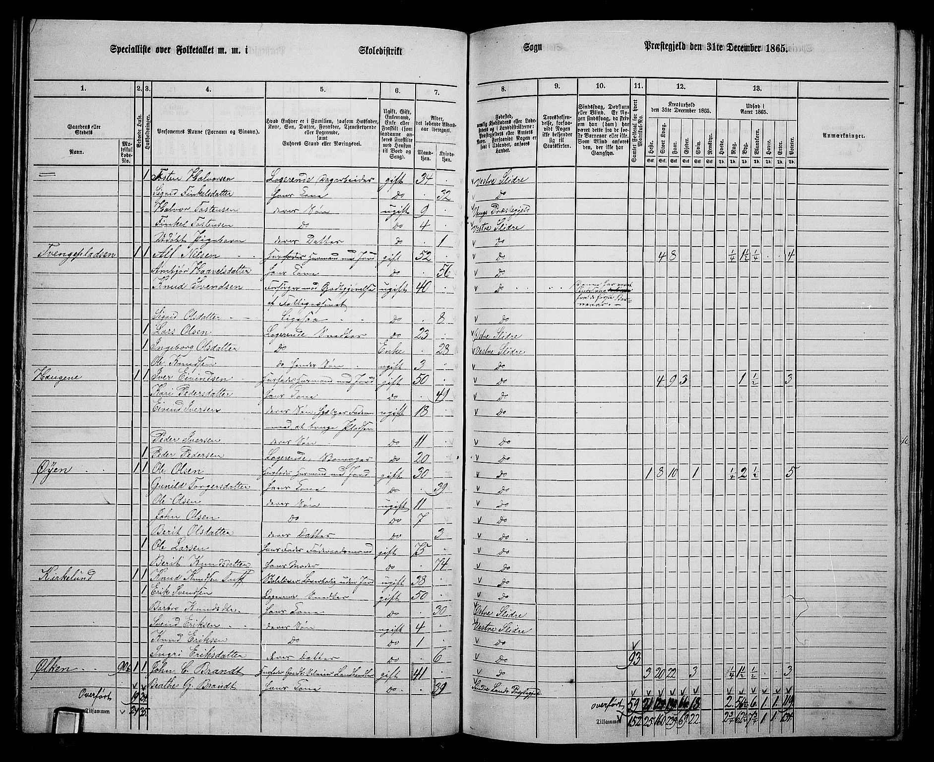 RA, 1865 census for Vestre Slidre, 1865, p. 62