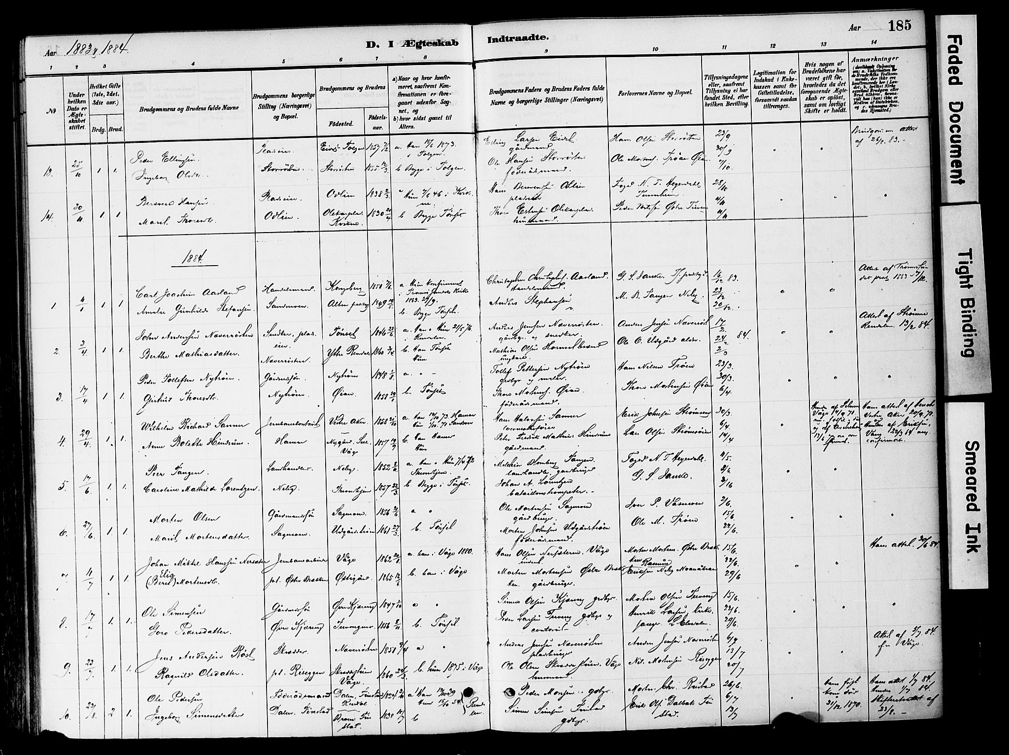 Tynset prestekontor, SAH/PREST-058/H/Ha/Haa/L0022: Parish register (official) no. 22, 1880-1899, p. 185