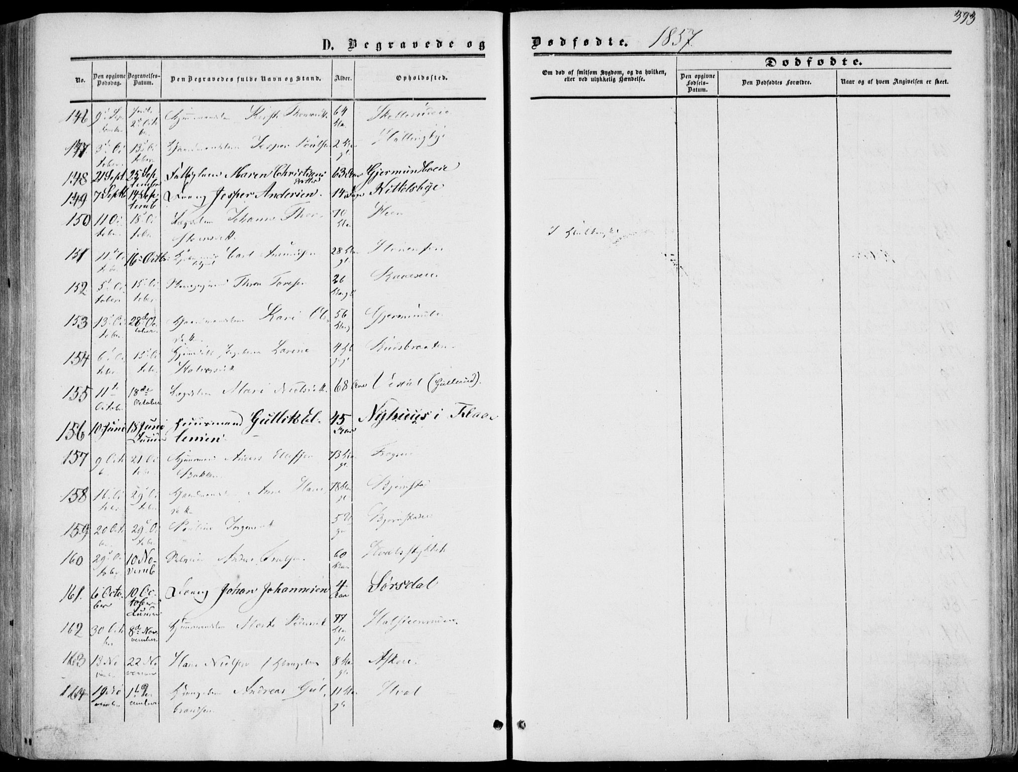 Norderhov kirkebøker, AV/SAKO-A-237/F/Fa/L0012: Parish register (official) no. 12, 1856-1865, p. 393