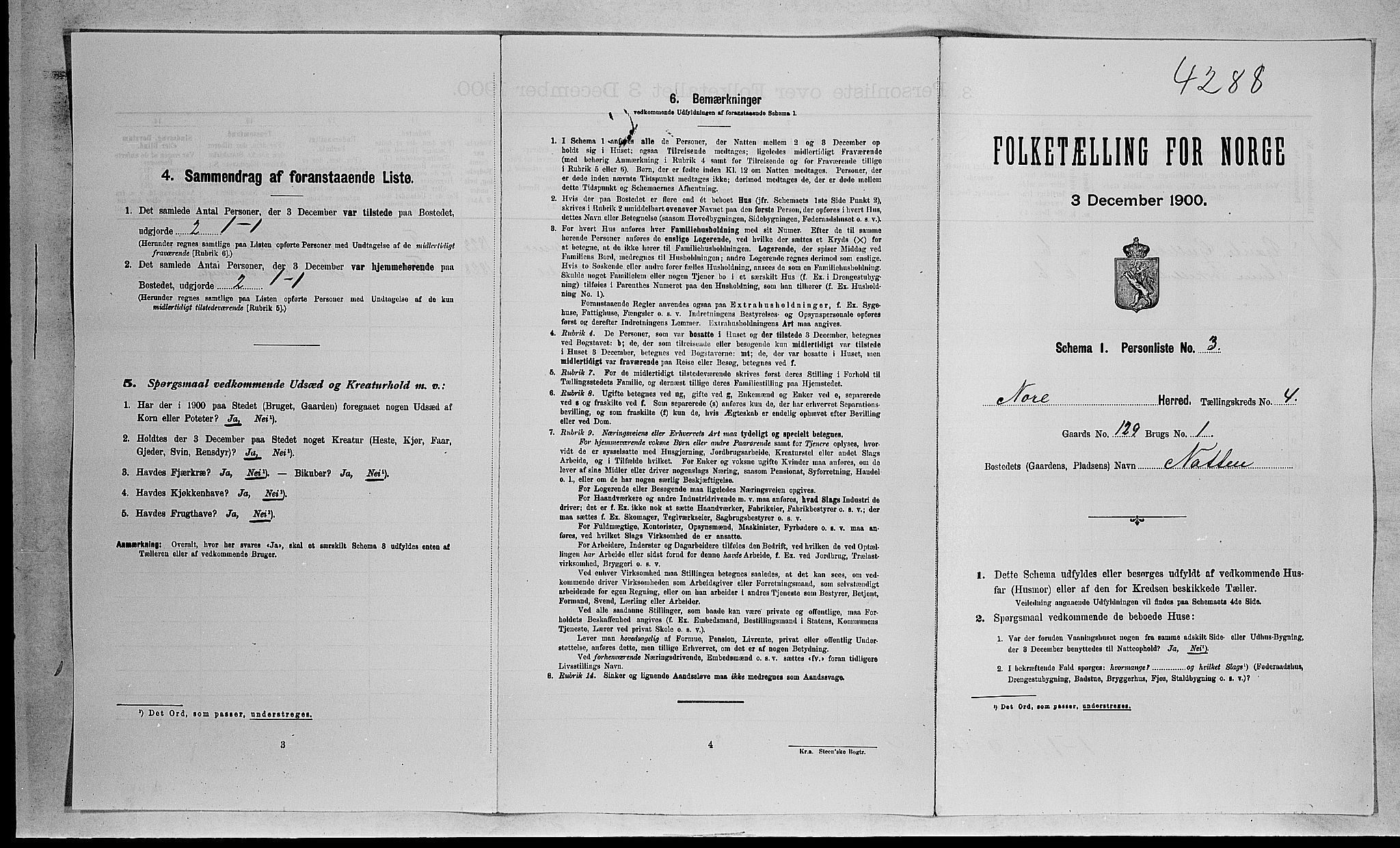 RA, 1900 census for Nore, 1900, p. 417