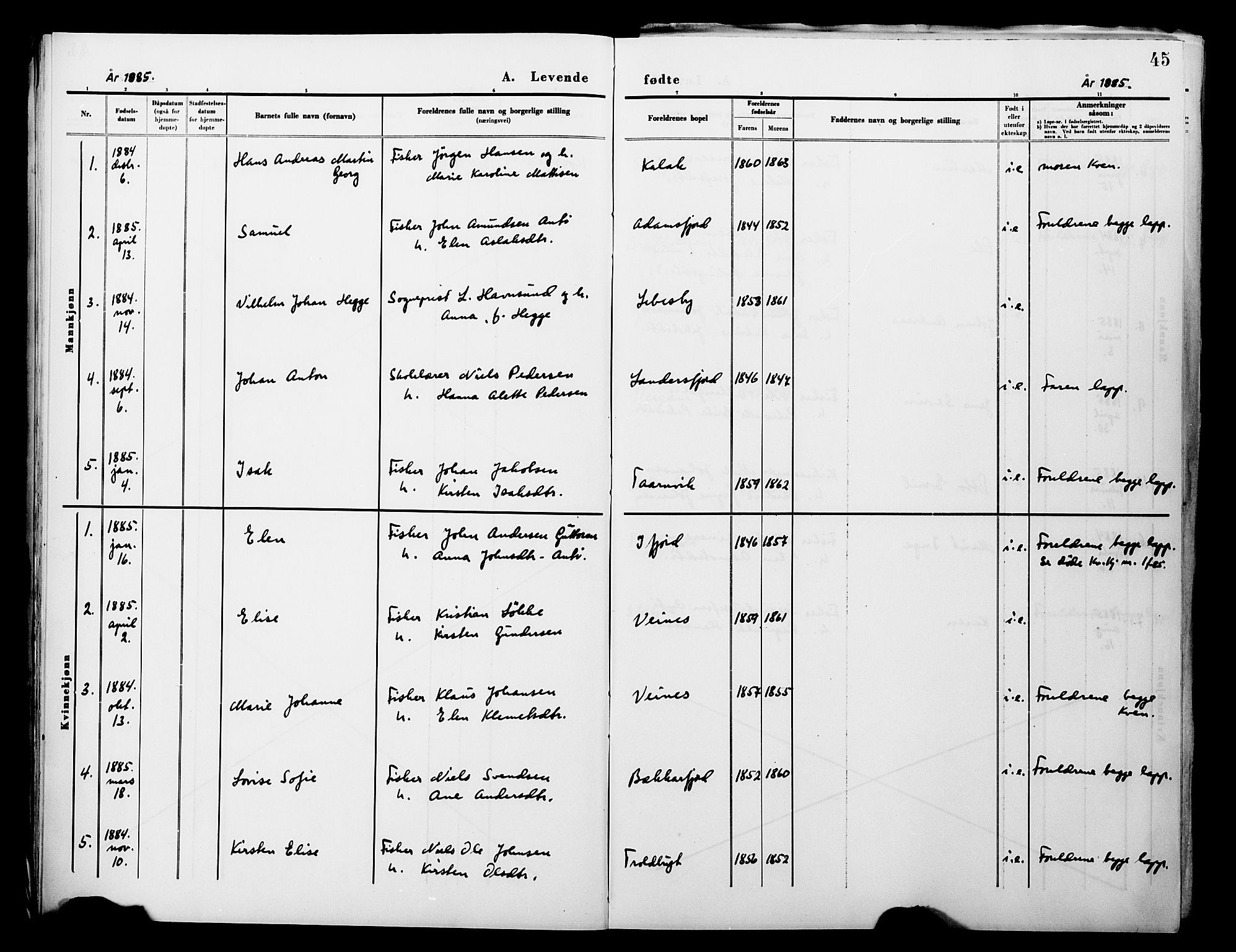 Lebesby sokneprestkontor, SATØ/S-1353/H/Ha/L0004kirke: Parish register (official) no. 4, 1870-1902, p. 45