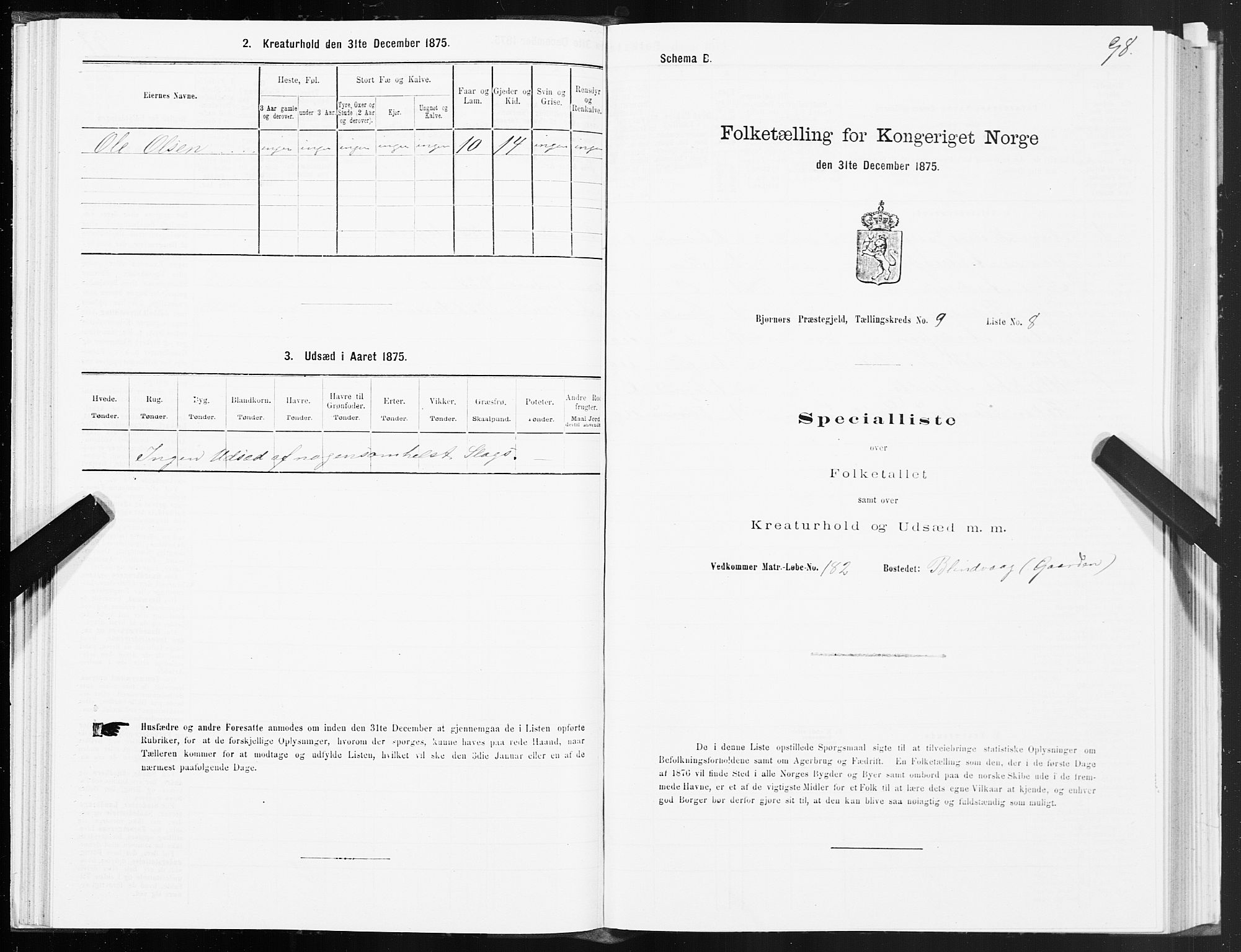 SAT, 1875 census for 1632P Bjørnør, 1875, p. 4098