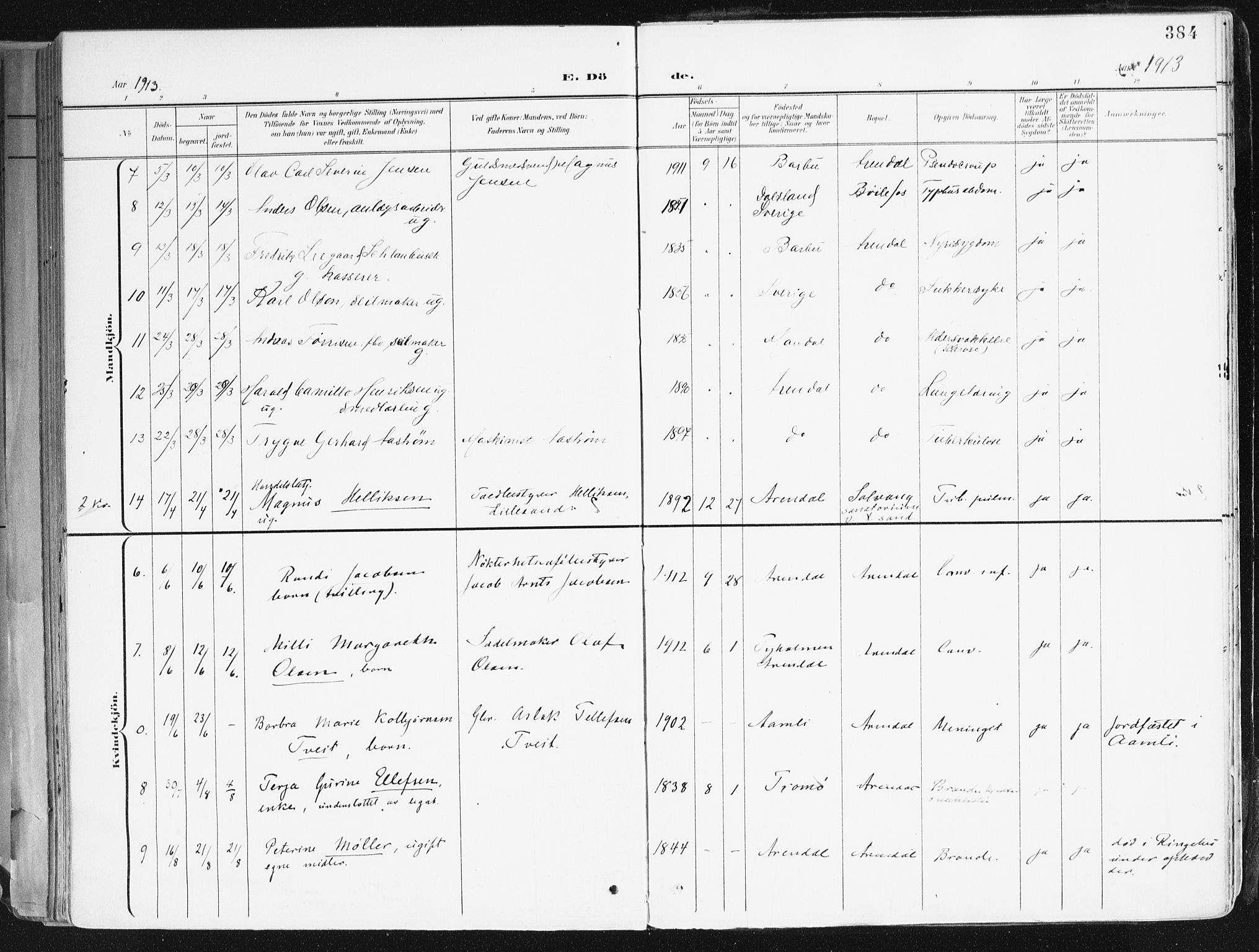 Arendal sokneprestkontor, Trefoldighet, AV/SAK-1111-0040/F/Fa/L0010: Parish register (official) no. A 10, 1900-1919, p. 384