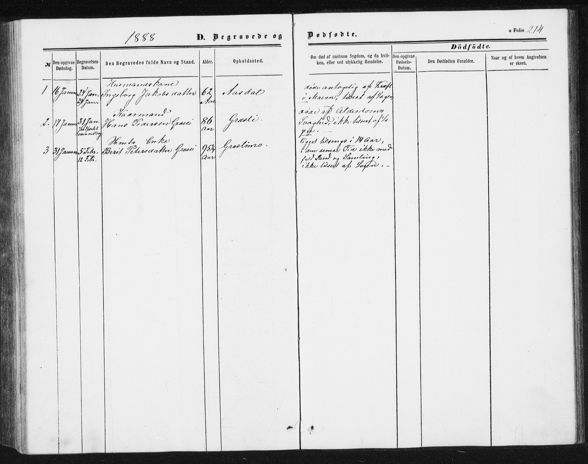 Ministerialprotokoller, klokkerbøker og fødselsregistre - Sør-Trøndelag, SAT/A-1456/698/L1166: Parish register (copy) no. 698C03, 1861-1887, p. 214