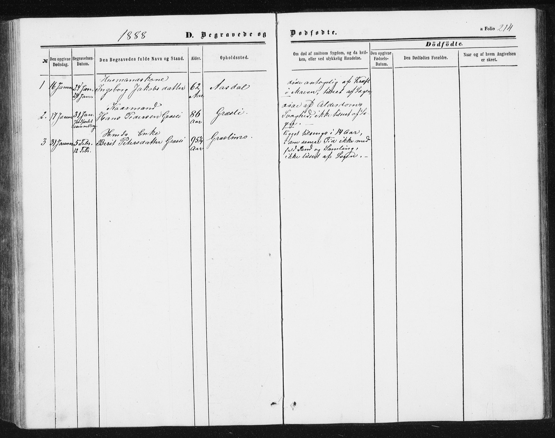 Ministerialprotokoller, klokkerbøker og fødselsregistre - Sør-Trøndelag, AV/SAT-A-1456/698/L1166: Parish register (copy) no. 698C03, 1861-1887, p. 214