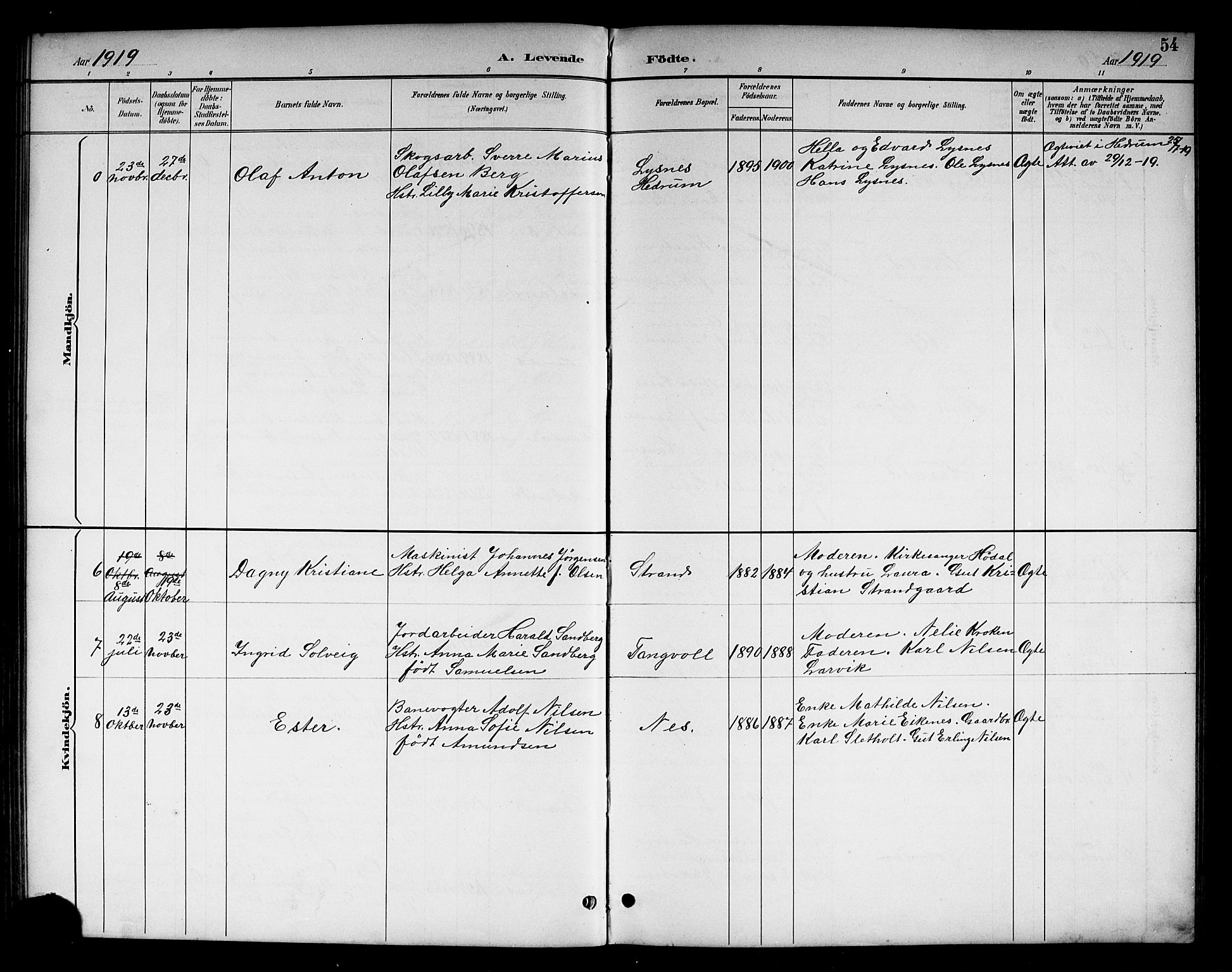 Brunlanes kirkebøker, SAKO/A-342/G/Gc/L0002: Parish register (copy) no. III 2, 1891-1922, p. 54