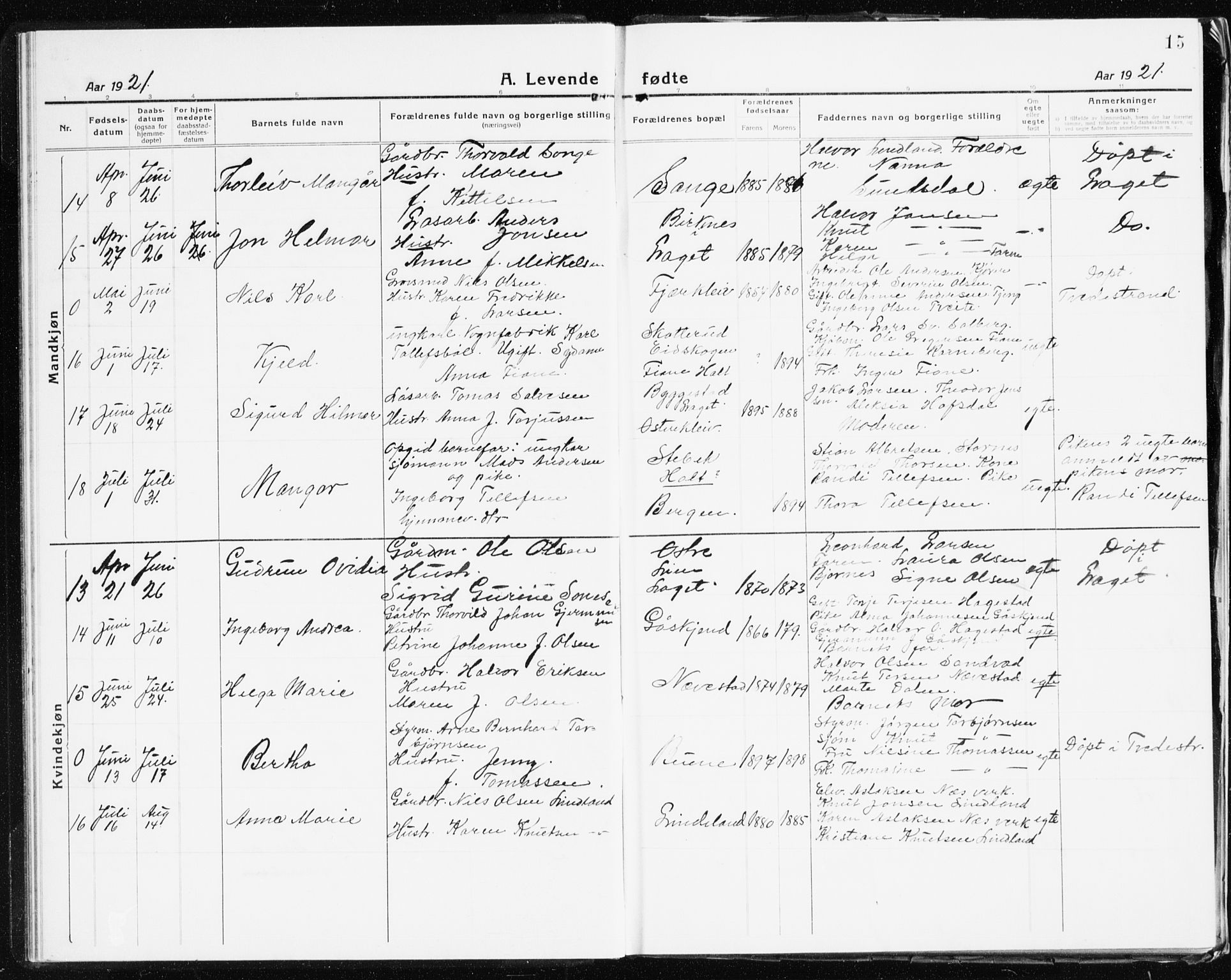 Holt sokneprestkontor, AV/SAK-1111-0021/F/Fb/L0012: Parish register (copy) no. B 12, 1919-1944, p. 15