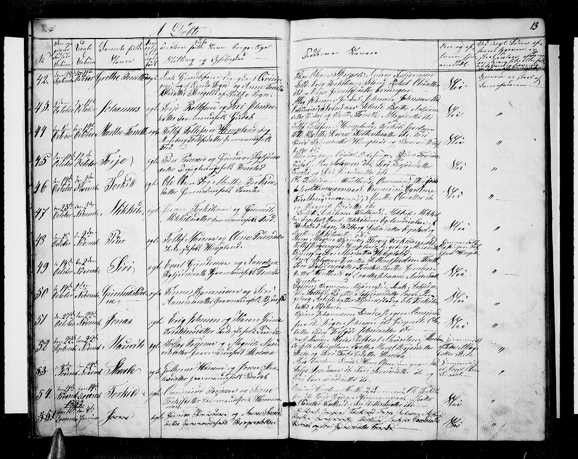 Sirdal sokneprestkontor, AV/SAK-1111-0036/F/Fb/Fbb/L0002: Parish register (copy) no. B 2, 1848-1878, p. 13