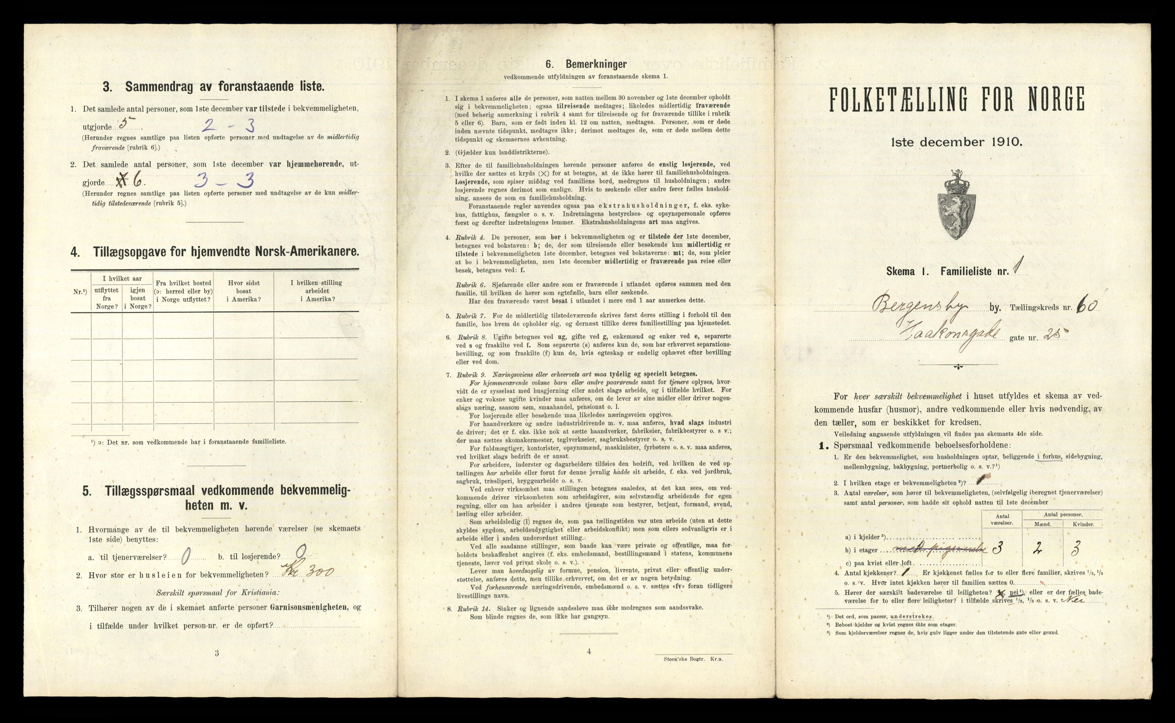 RA, 1910 census for Bergen, 1910, p. 20945