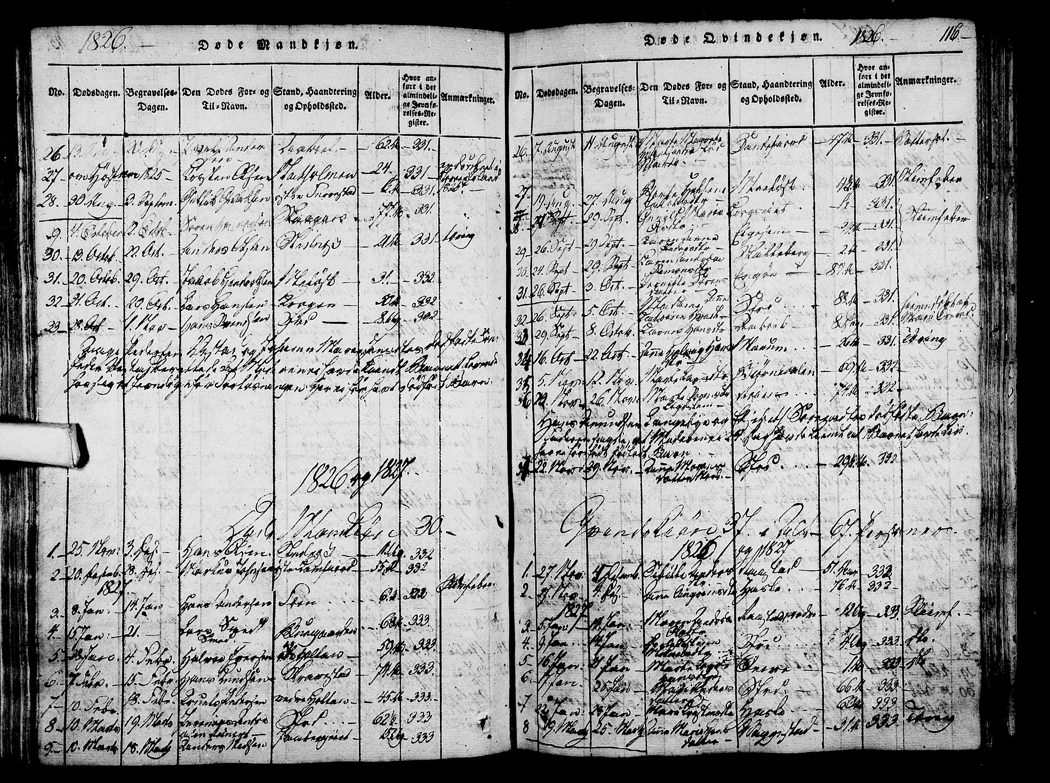 Sandar kirkebøker, SAKO/A-243/F/Fa/L0004: Parish register (official) no. 4, 1814-1832, p. 116