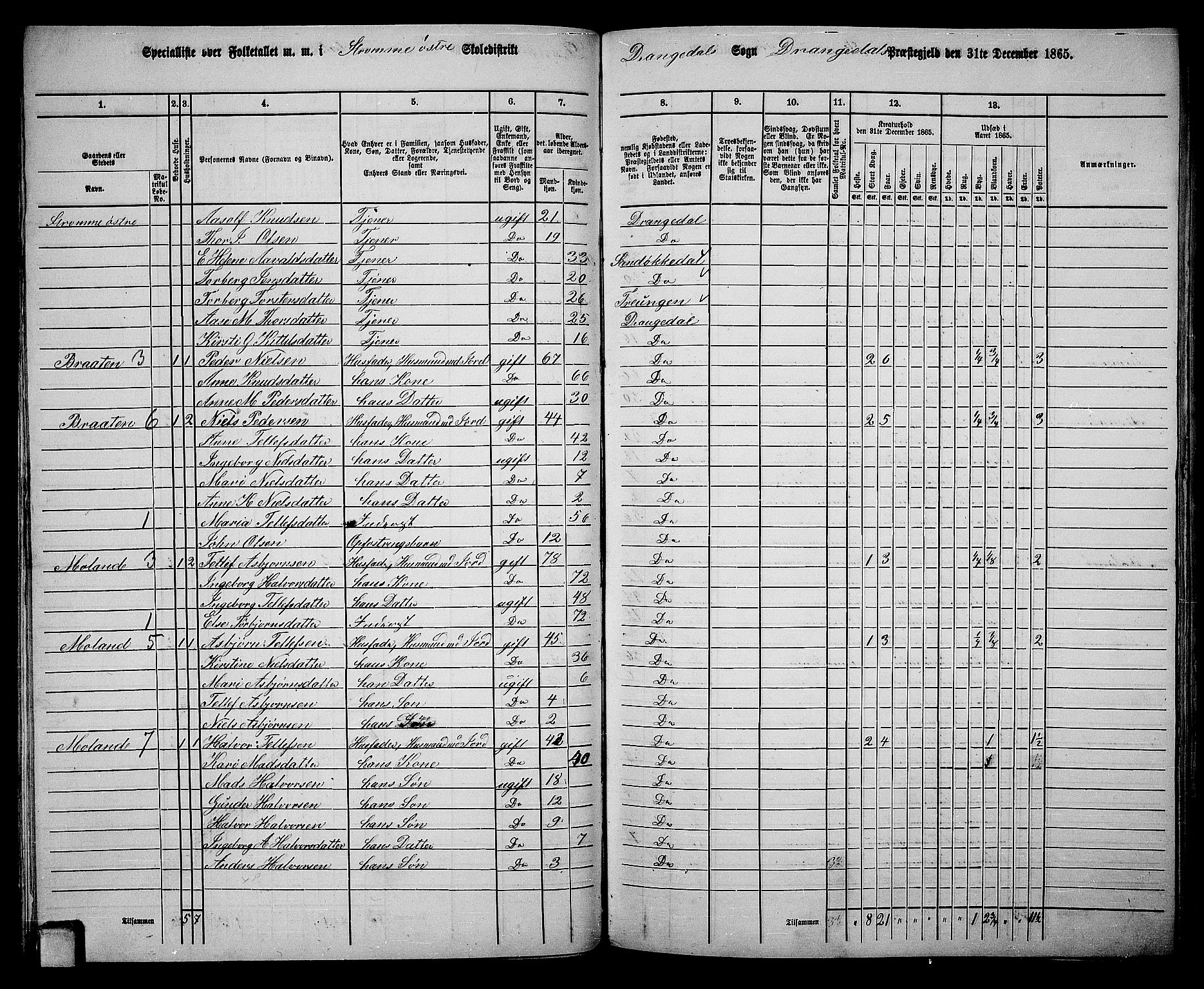 RA, 1865 census for Drangedal, 1865, p. 45