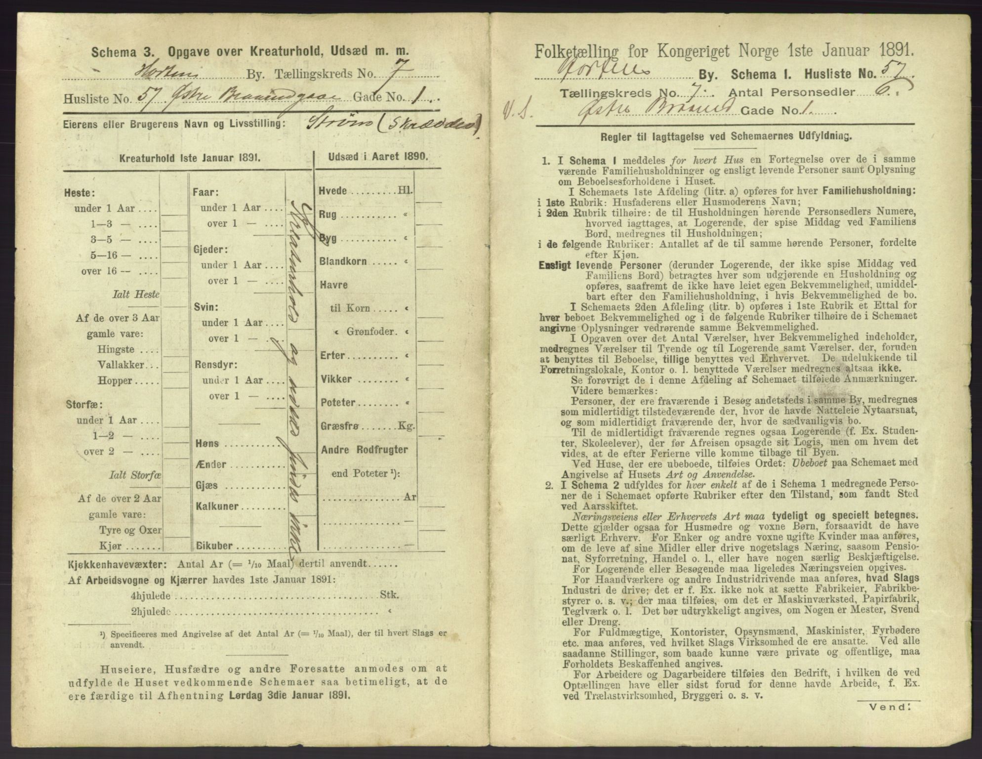 RA, 1891 census for 0703 Horten, 1891, p. 819