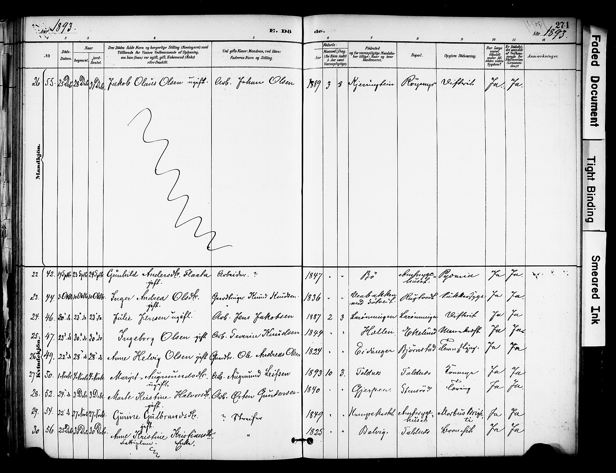 Solum kirkebøker, AV/SAKO-A-306/F/Fa/L0010: Parish register (official) no. I 10, 1888-1898, p. 271