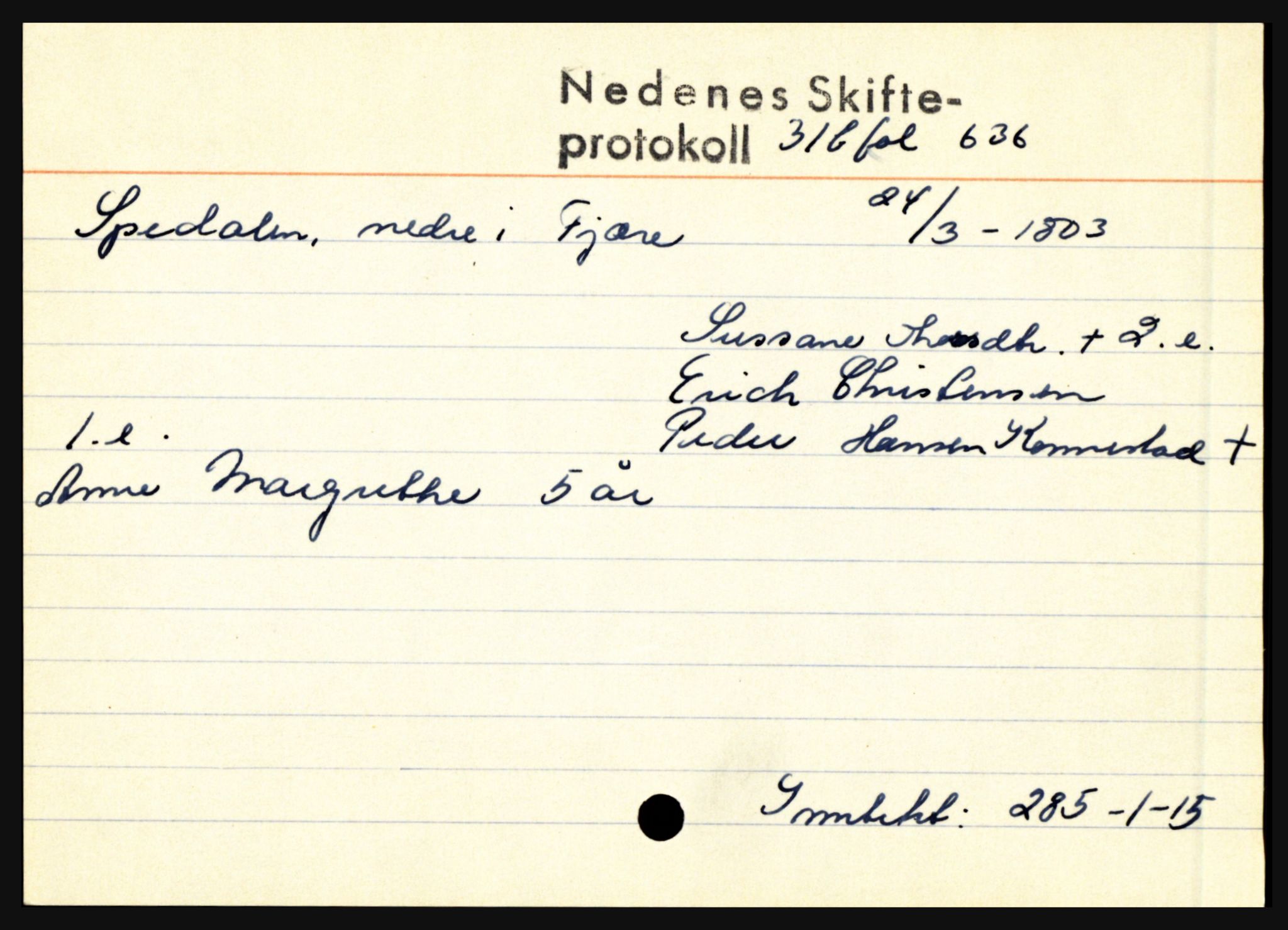 Nedenes sorenskriveri før 1824, AV/SAK-1221-0007/H, p. 27951