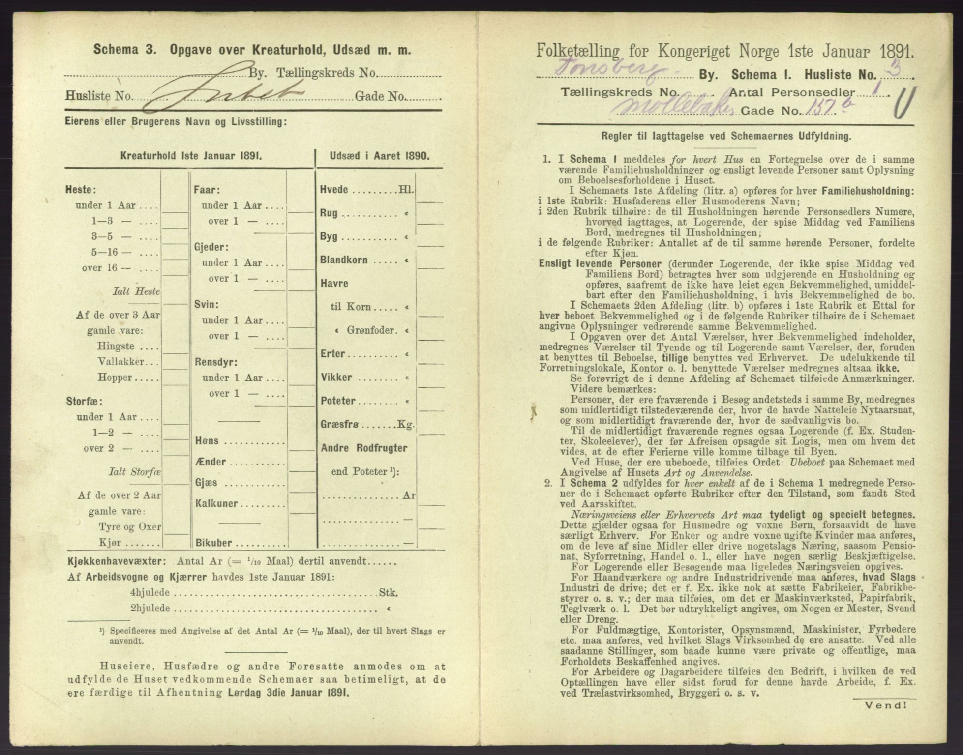 RA, 1891 census for 0705 Tønsberg, 1891, p. 466