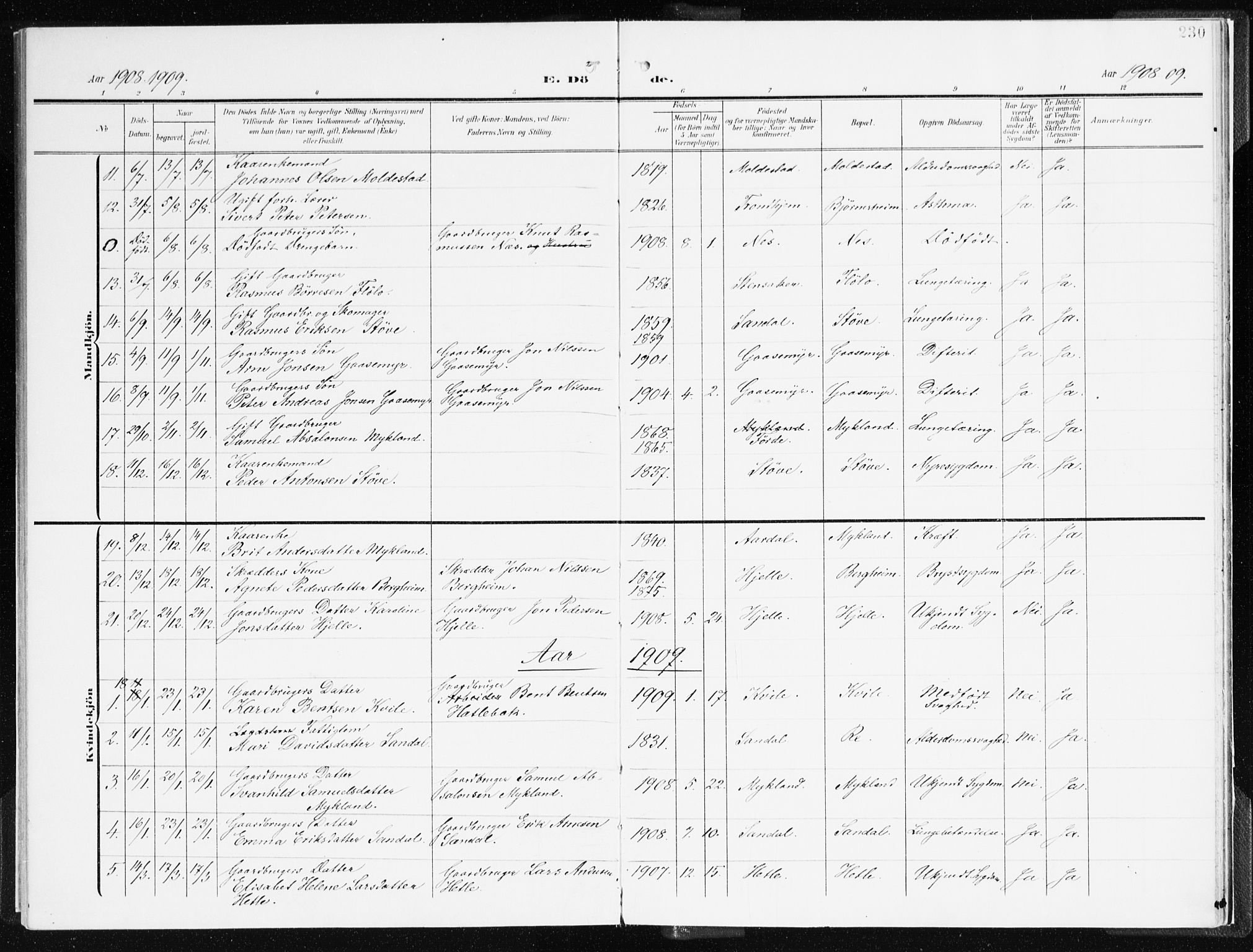 Gloppen sokneprestembete, AV/SAB-A-80101/H/Haa/Haac/L0003: Parish register (official) no. C 3, 1904-1921, p. 230