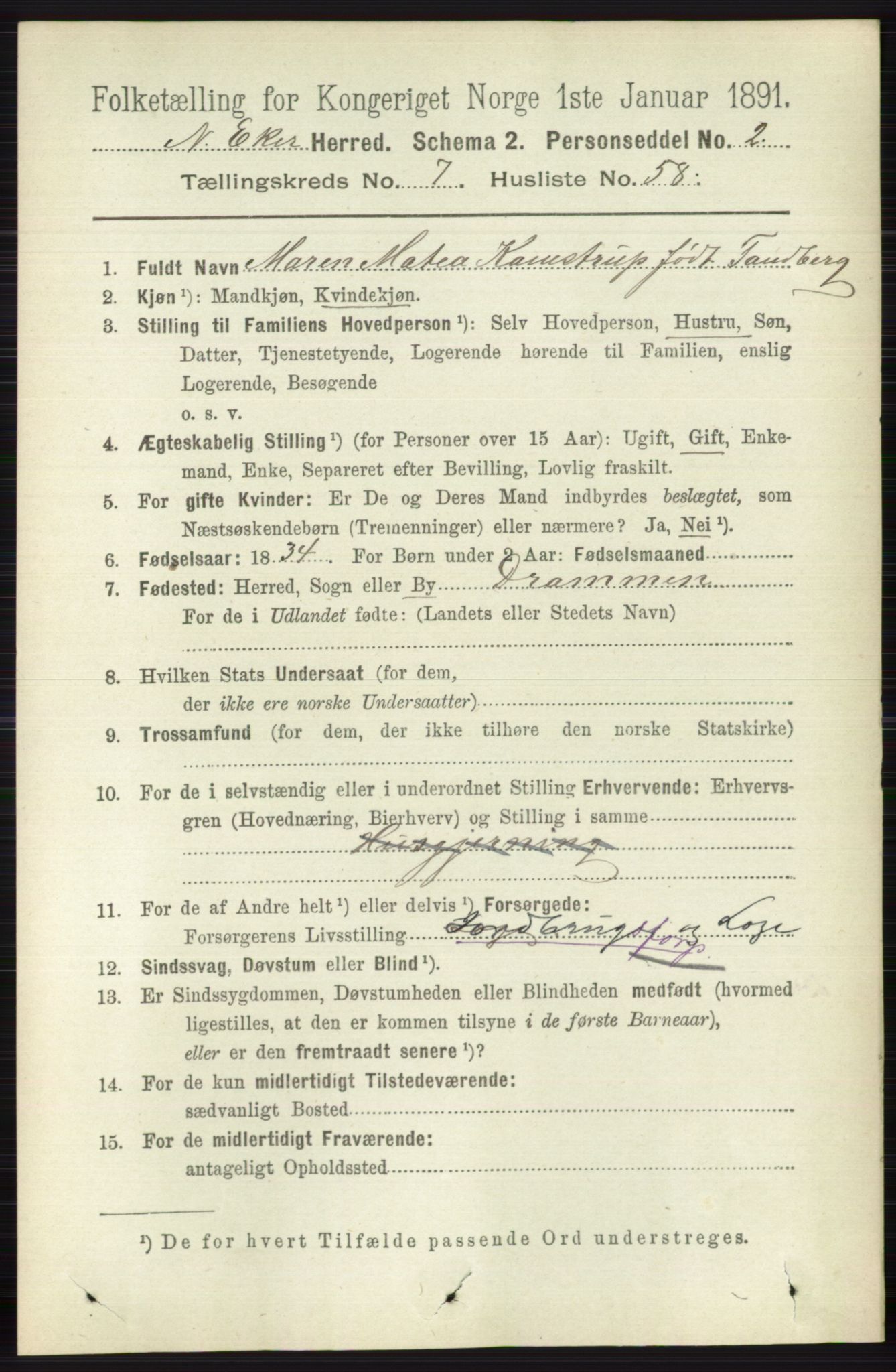 RA, 1891 census for 0625 Nedre Eiker, 1891, p. 3817