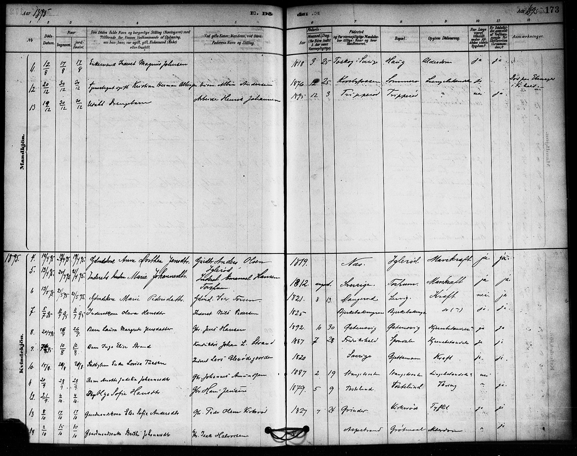 Aremark prestekontor Kirkebøker, AV/SAO-A-10899/F/Fa/L0005: Parish register (official) no. I 5, 1878-1897, p. 173