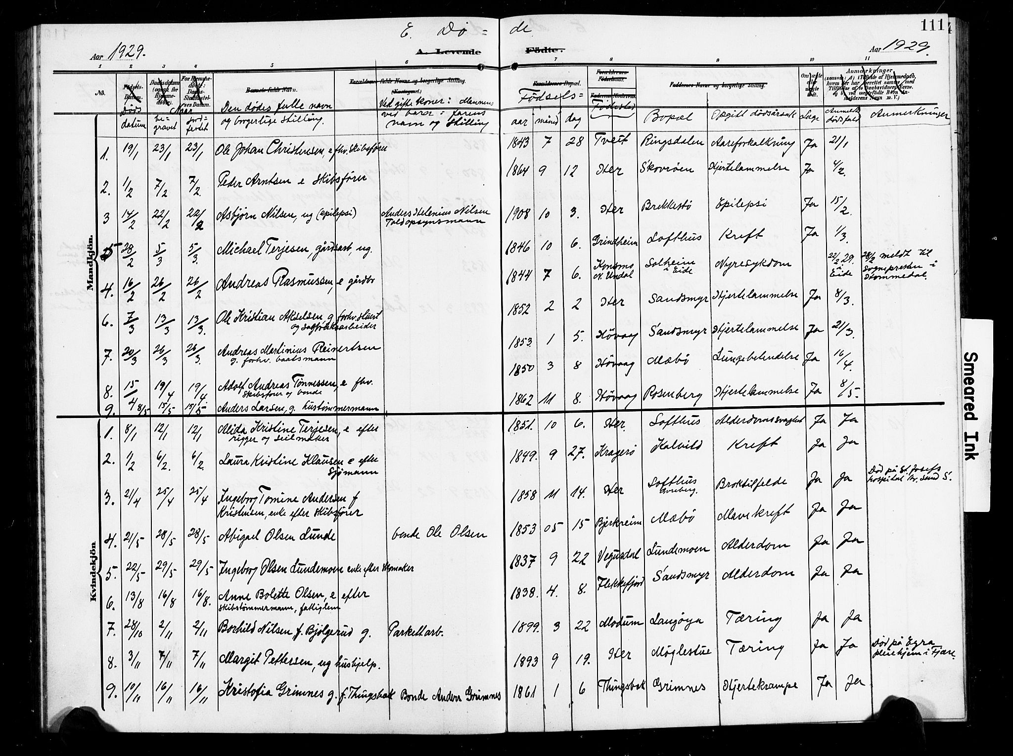 Vestre Moland sokneprestkontor, AV/SAK-1111-0046/F/Fb/Fbb/L0007: Parish register (copy) no. B 7, 1906-1929, p. 111