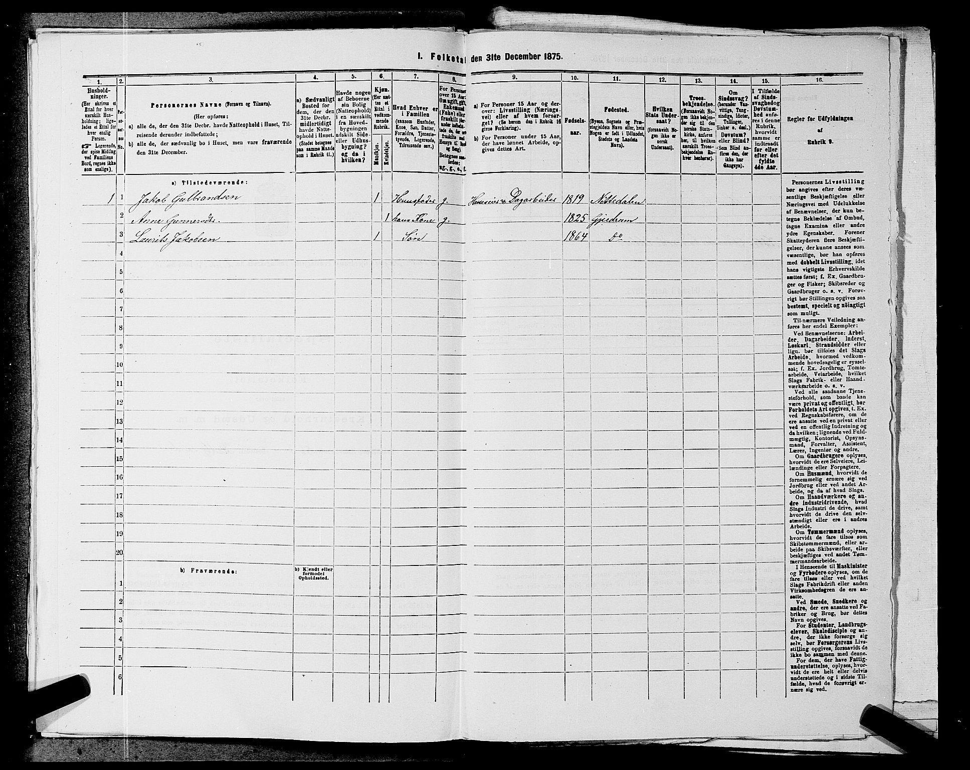 RA, 1875 census for 0234P Gjerdrum, 1875, p. 376