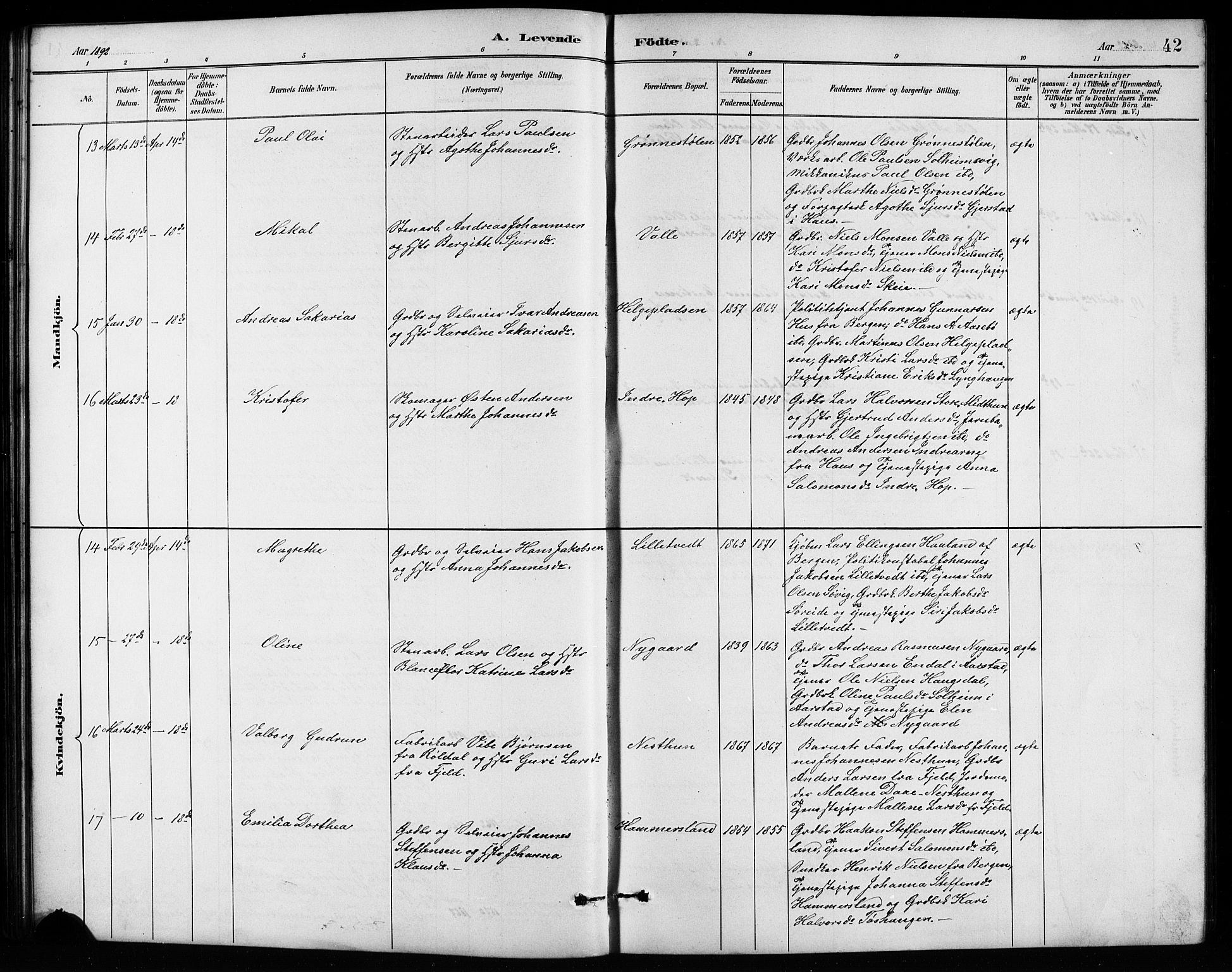 Birkeland Sokneprestembete, SAB/A-74601/H/Hab: Parish register (copy) no. A 4, 1888-1897, p. 42