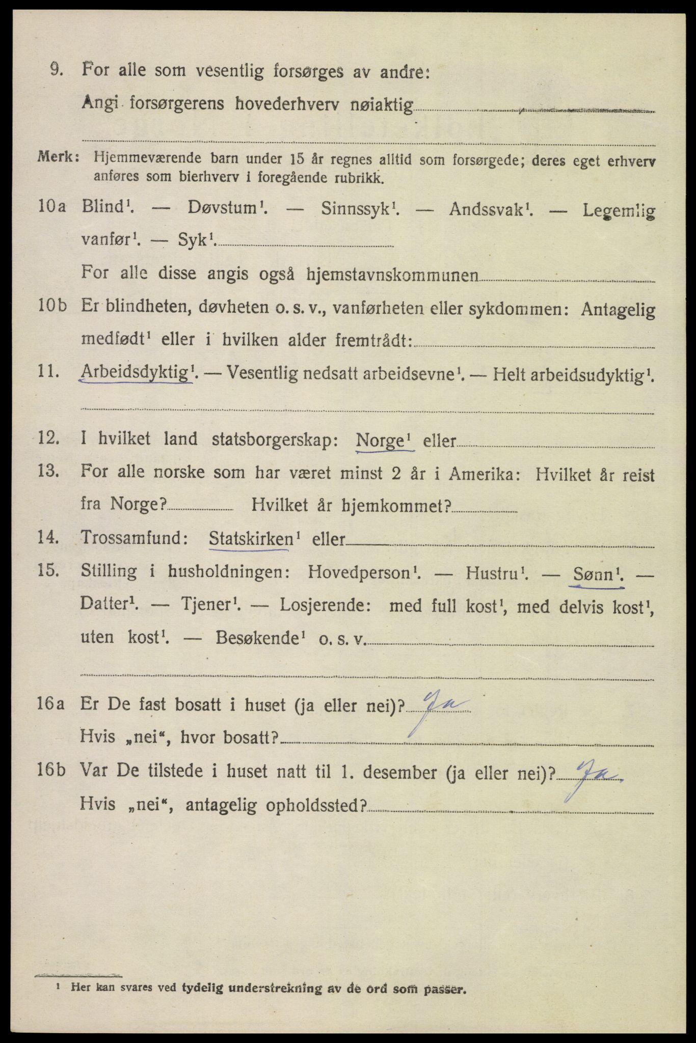 SAH, 1920 census for Åsnes, 1920, p. 11729