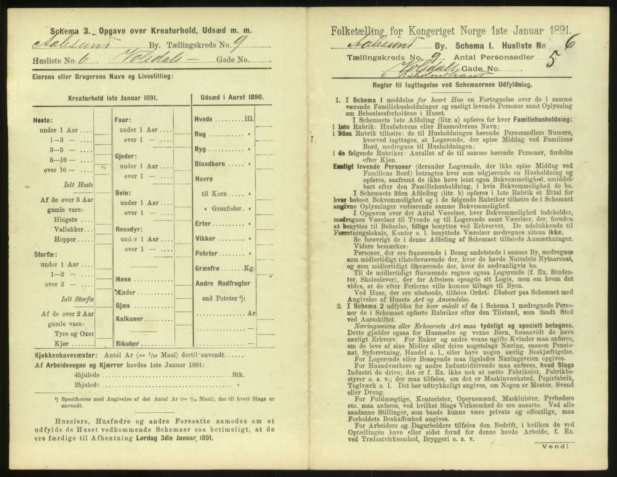 RA, 1891 census for 1501 Ålesund, 1891, p. 700