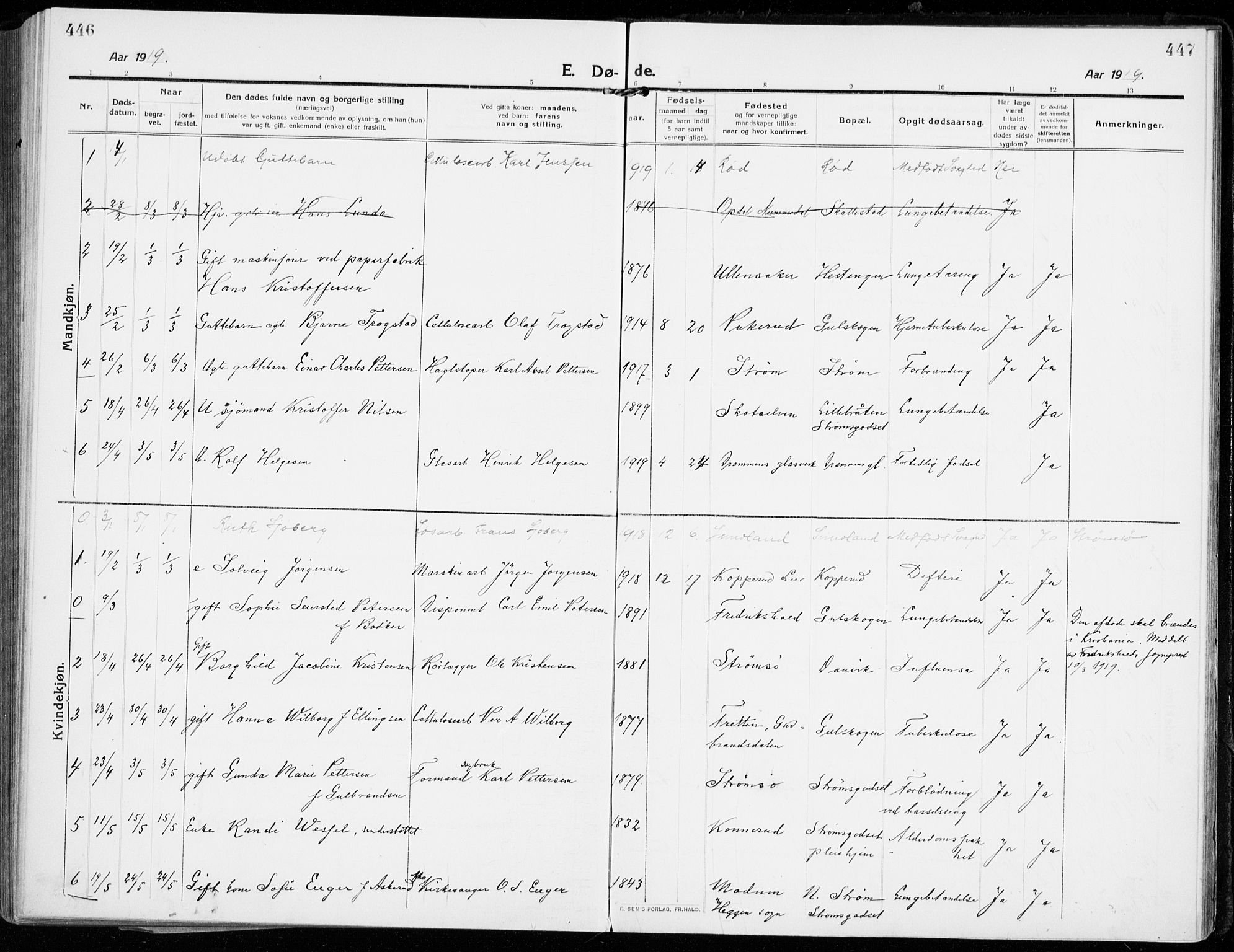 Strømsgodset kirkebøker, SAKO/A-324/F/Fa/L0002: Parish register (official) no. 2, 1910-1920, p. 446-447