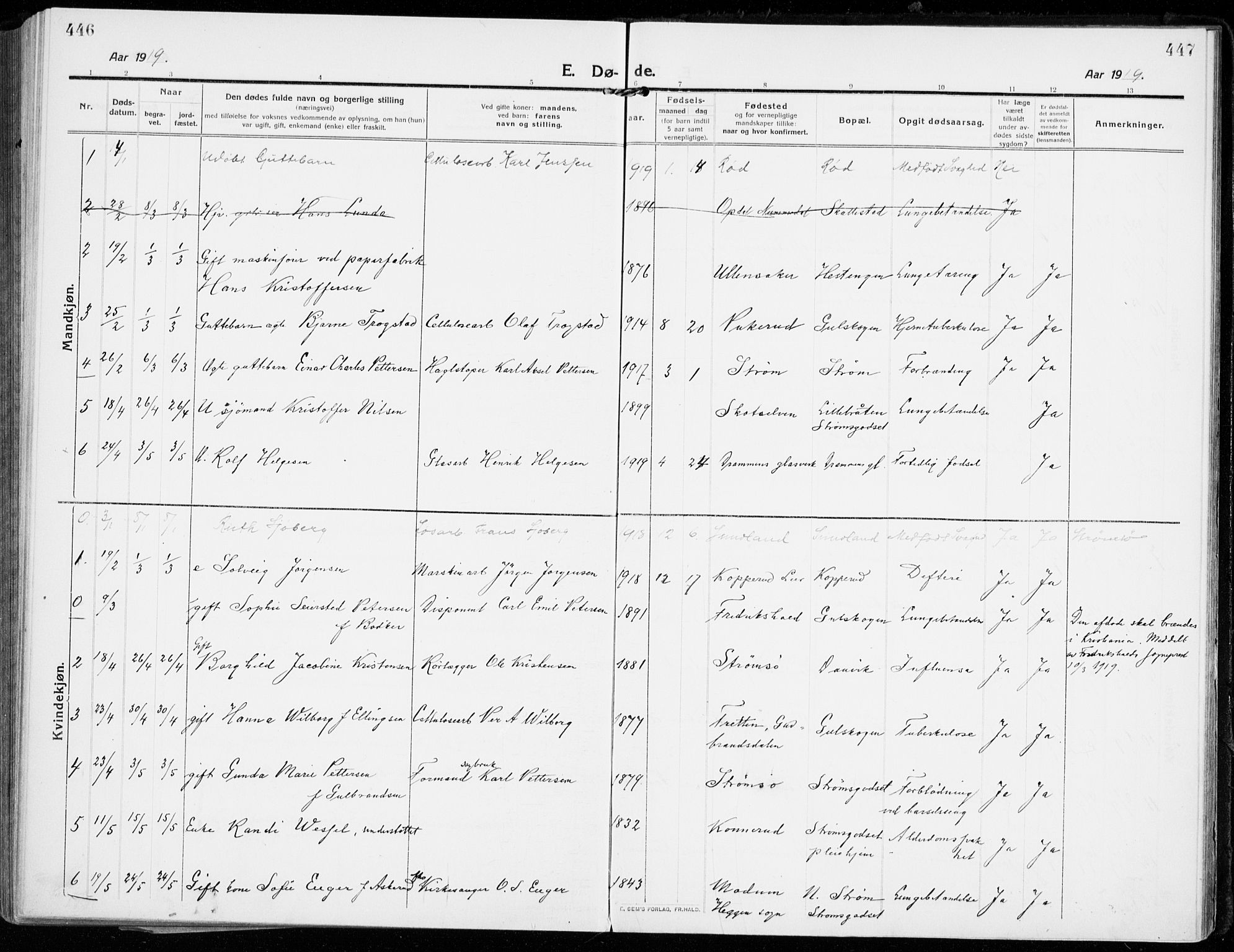 Strømsgodset kirkebøker, AV/SAKO-A-324/F/Fa/L0002: Parish register (official) no. 2, 1910-1920, p. 446-447