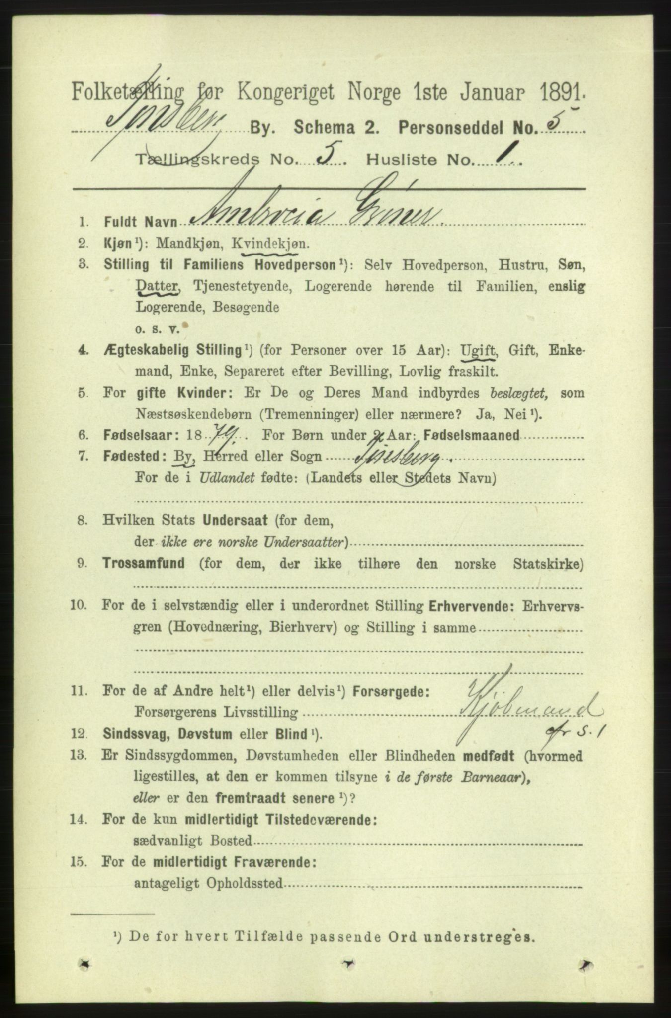 RA, 1891 census for 0705 Tønsberg, 1891, p. 2204