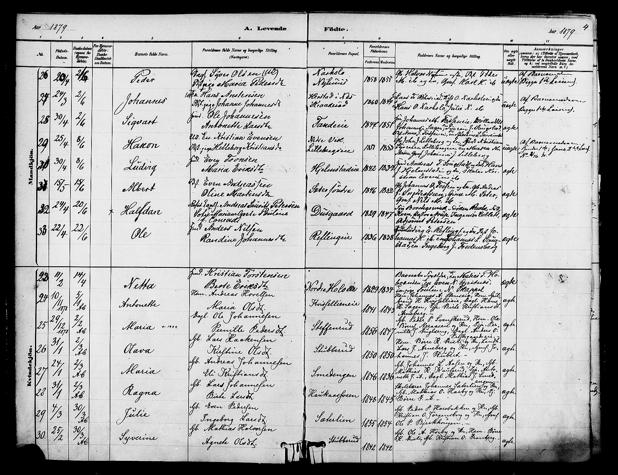 Ringsaker prestekontor, SAH/PREST-014/K/Ka/L0012: Parish register (official) no. 12, 1879-1890, p. 4