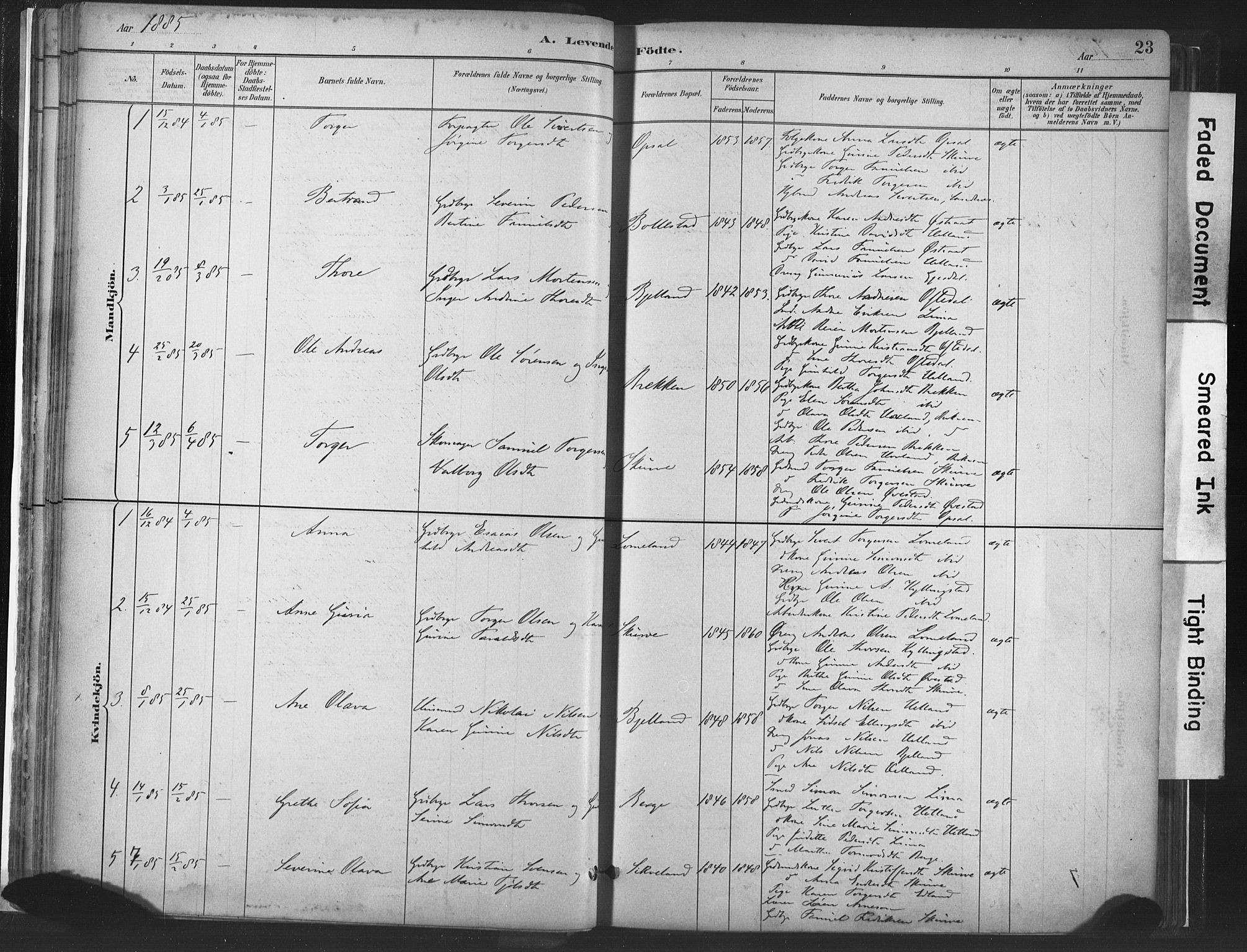 Lye sokneprestkontor, SAST/A-101794/001/30BA/L0010: Parish register (official) no. A 10, 1881-1896, p. 23