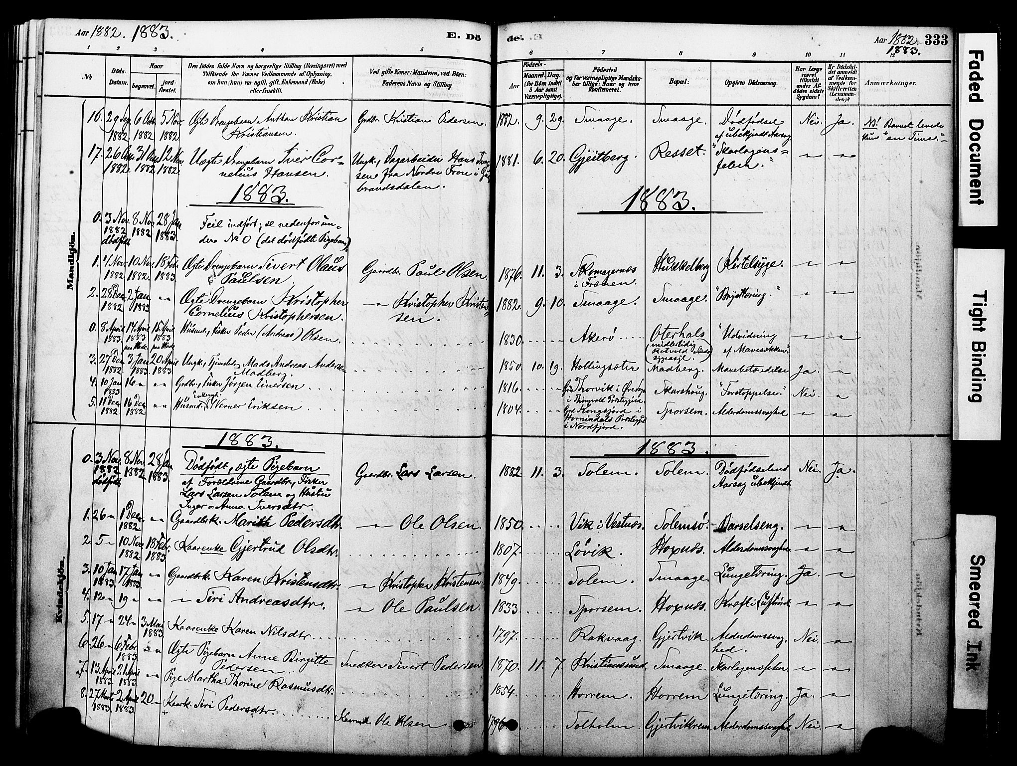 Ministerialprotokoller, klokkerbøker og fødselsregistre - Møre og Romsdal, SAT/A-1454/560/L0721: Parish register (official) no. 560A05, 1878-1917, p. 333