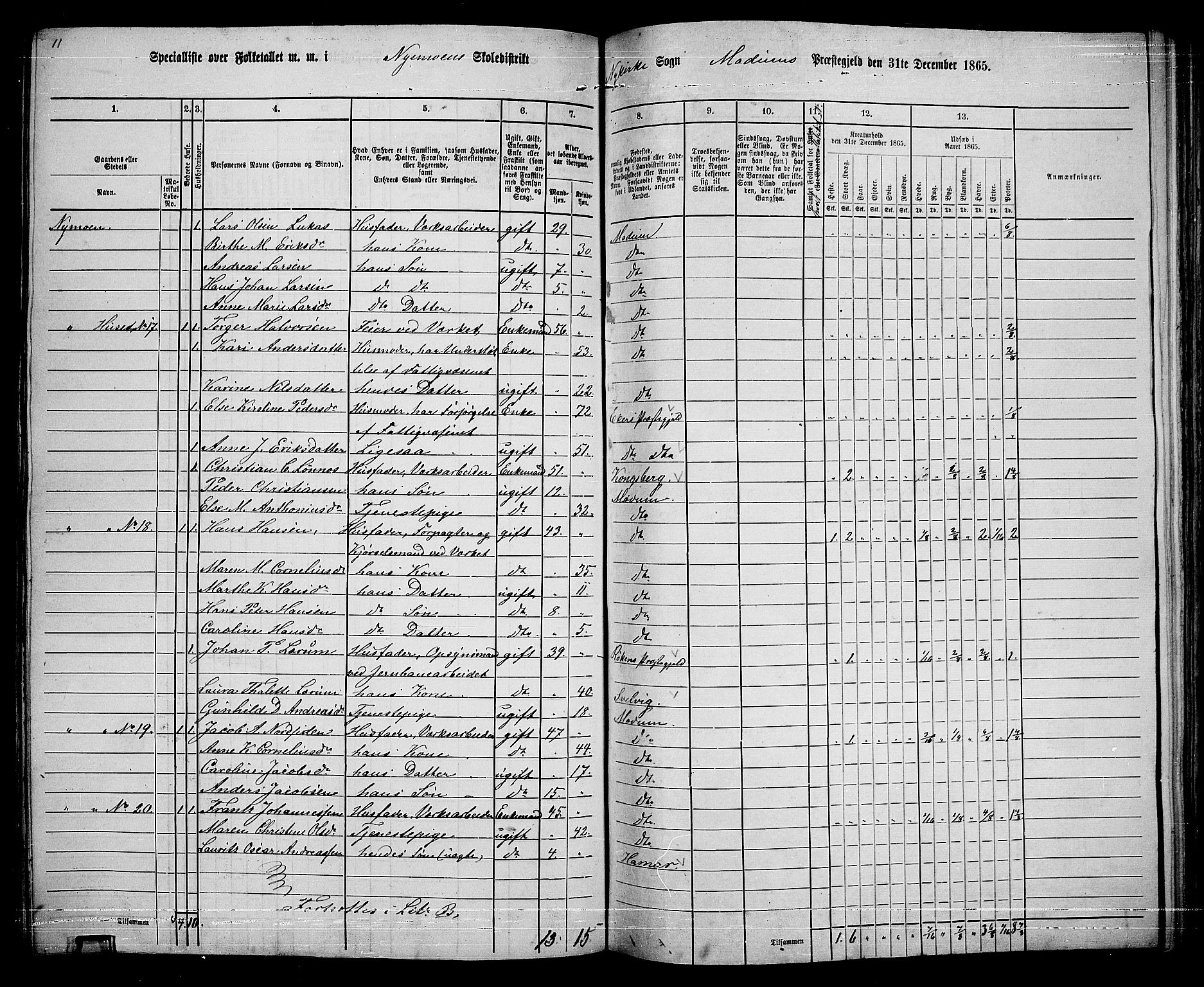 RA, 1865 census for Modum, 1865, p. 236