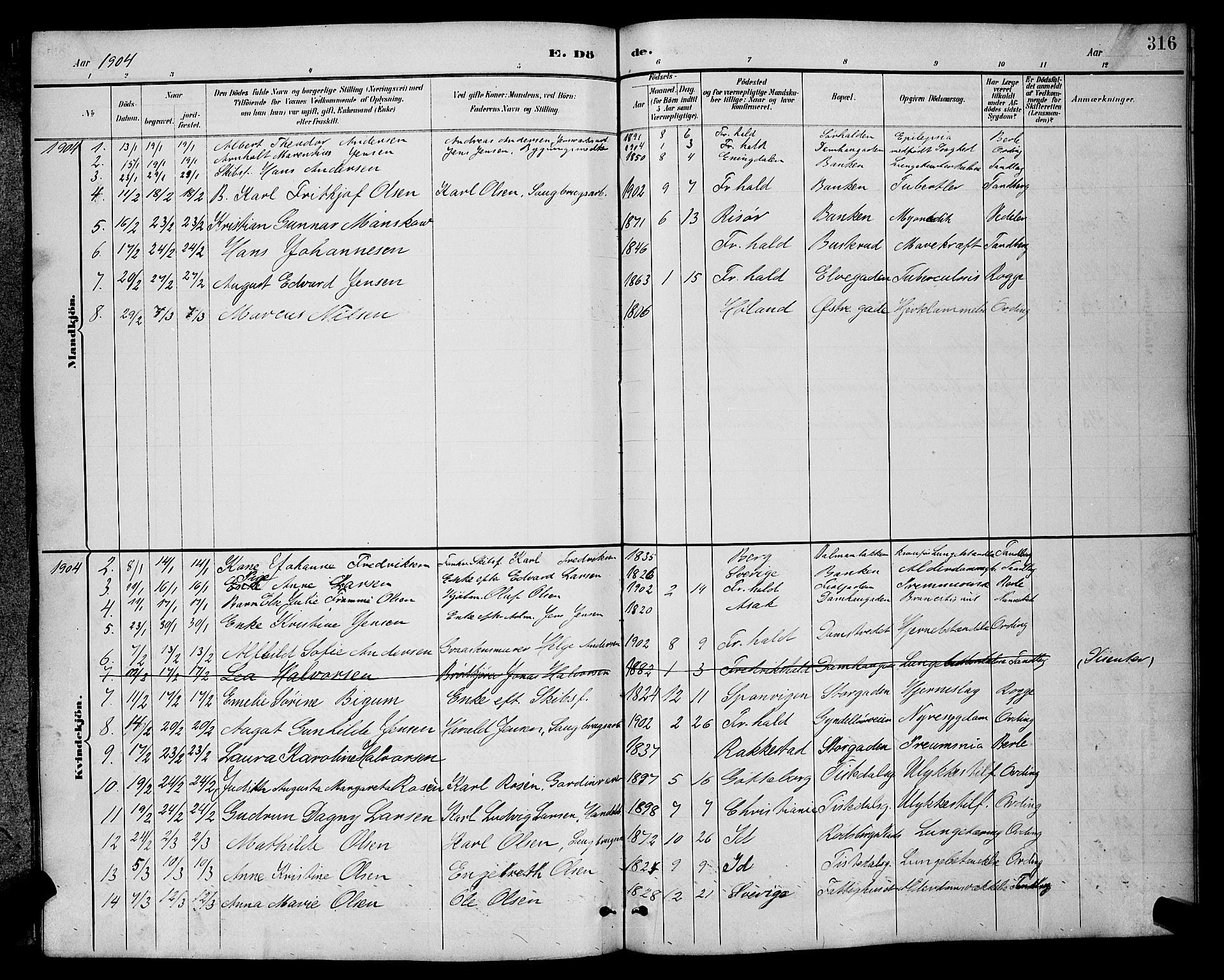 Halden prestekontor Kirkebøker, AV/SAO-A-10909/G/Ga/L0009: Parish register (copy) no. 9, 1885-1908, p. 316