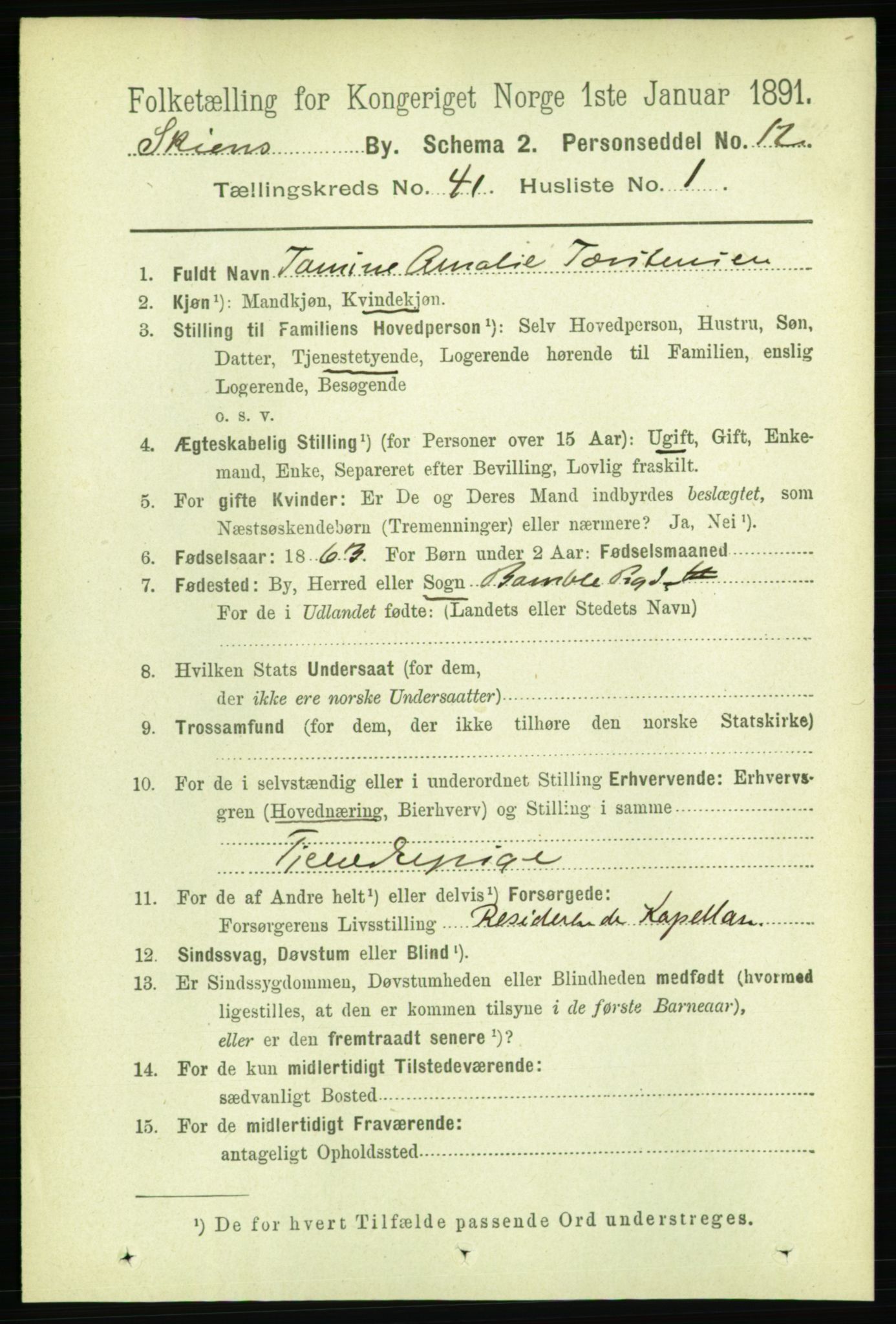 RA, 1891 census for 0806 Skien, 1891, p. 8452