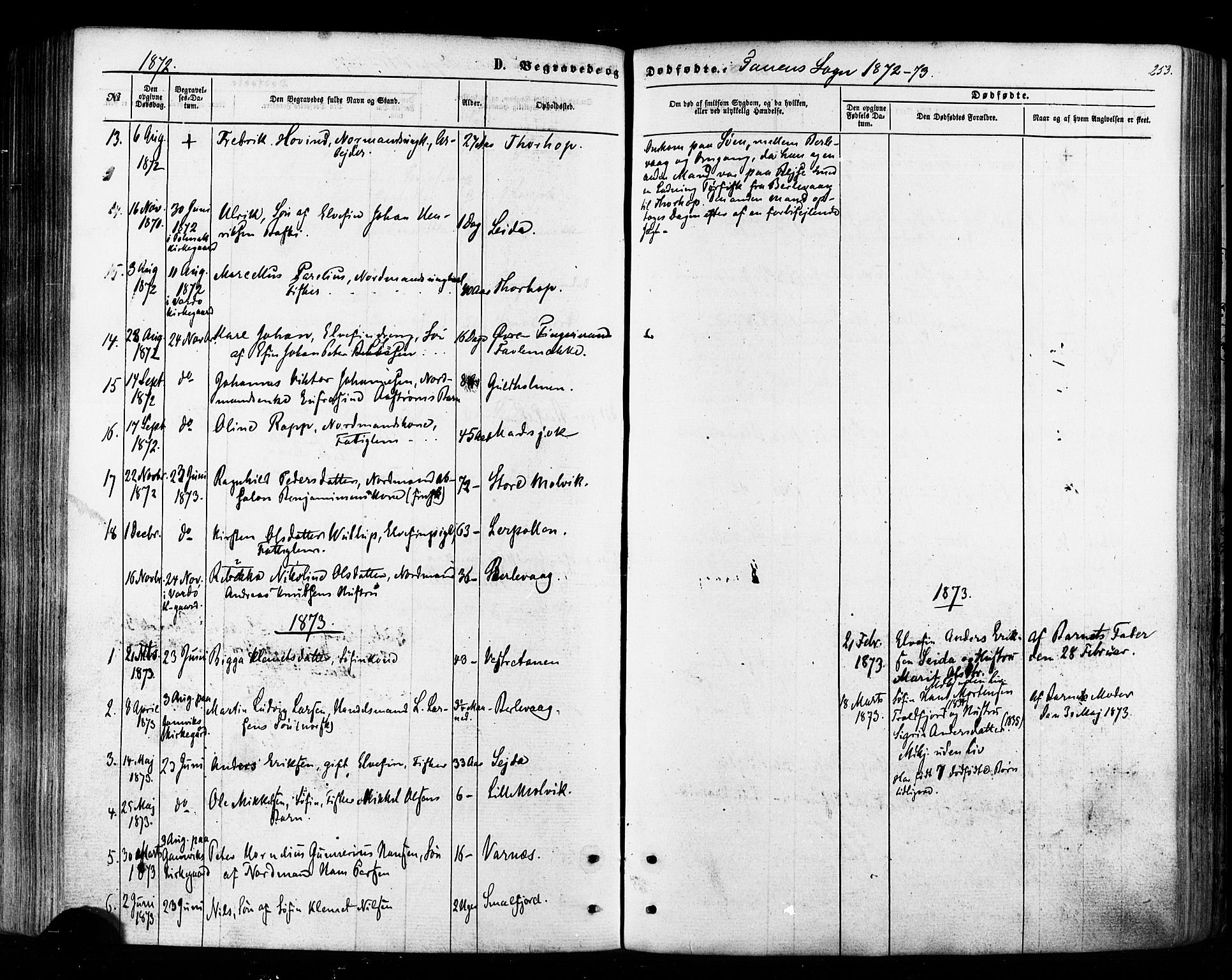 Tana sokneprestkontor, SATØ/S-1334/H/Ha/L0002kirke: Parish register (official) no. 2 /1, 1861-1877, p. 253