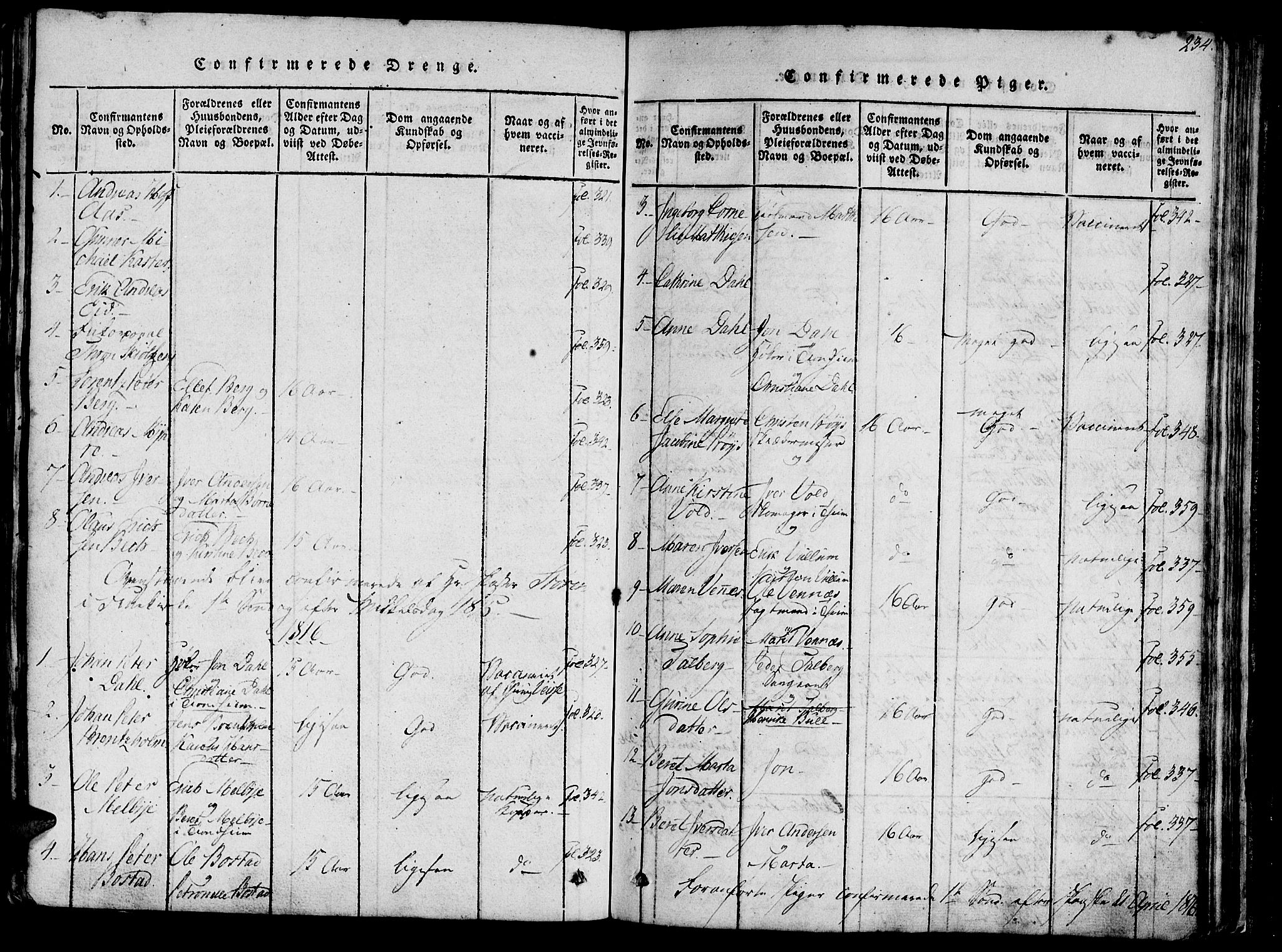 Ministerialprotokoller, klokkerbøker og fødselsregistre - Sør-Trøndelag, SAT/A-1456/602/L0135: Parish register (copy) no. 602C03, 1815-1832, p. 234