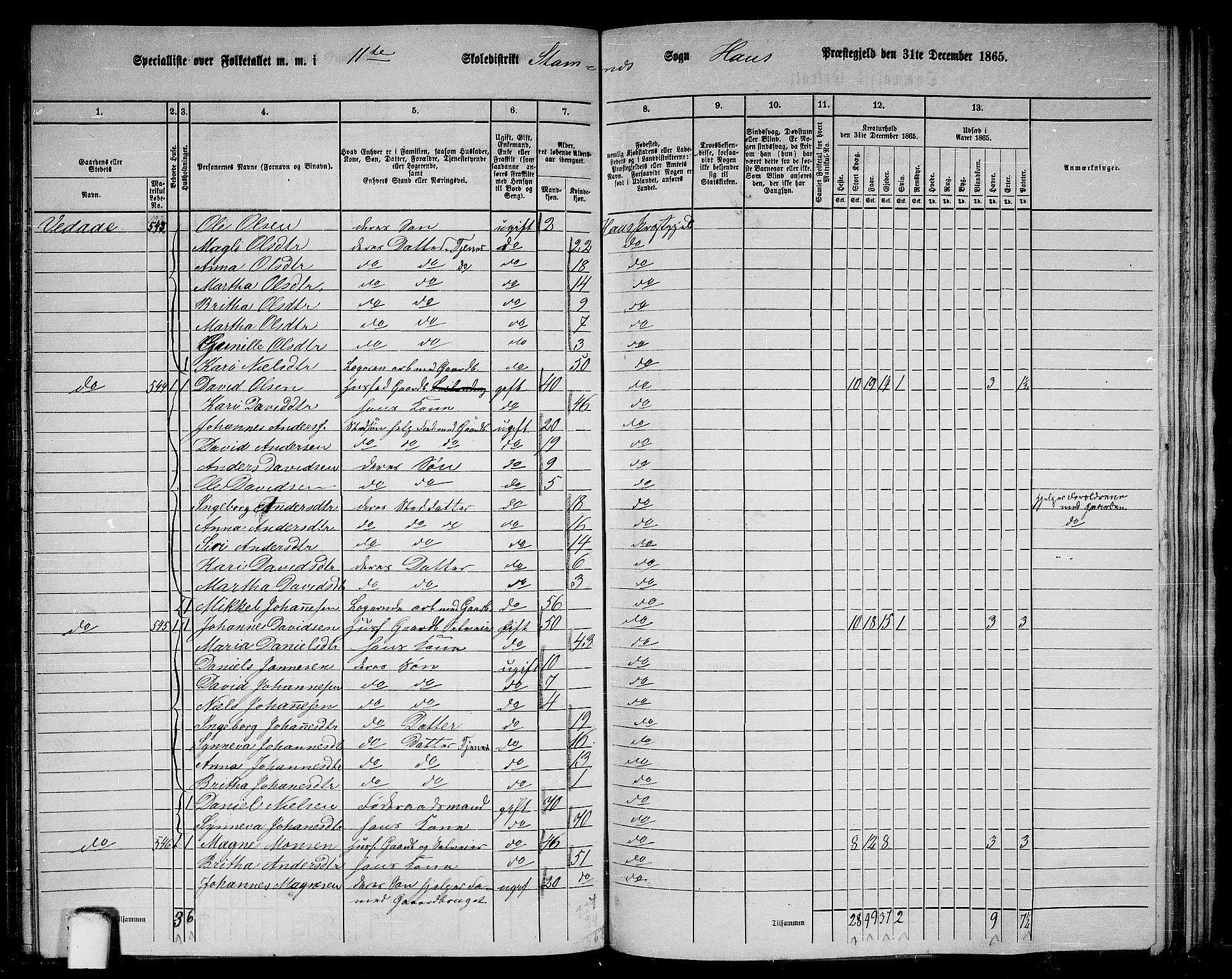 RA, 1865 census for Haus, 1865, p. 226