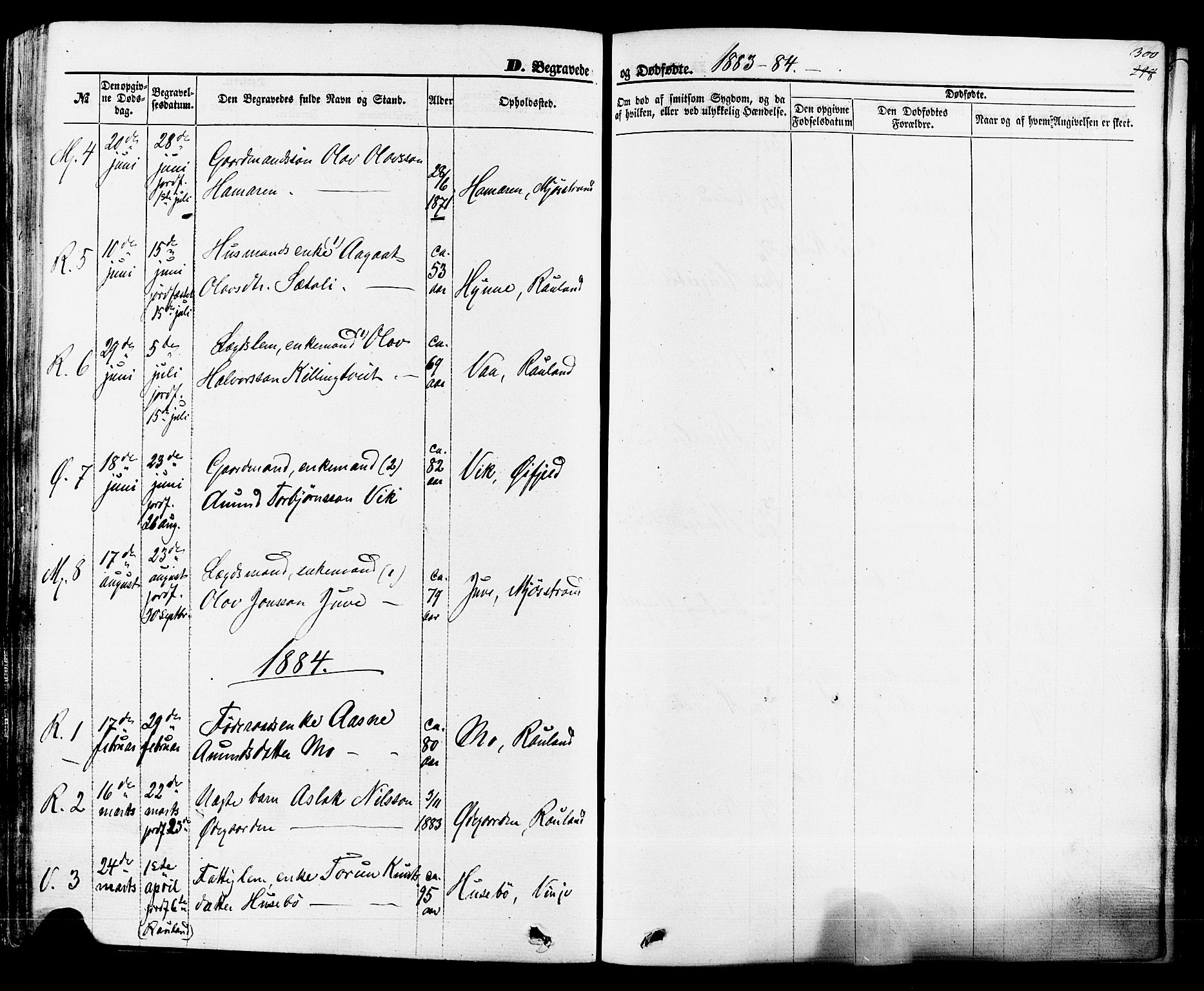 Rauland kirkebøker, SAKO/A-292/F/Fa/L0003: Parish register (official) no. 3, 1859-1886, p. 300