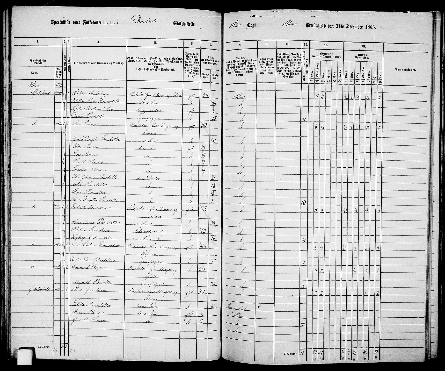 RA, 1865 census for Holum, 1865, p. 72